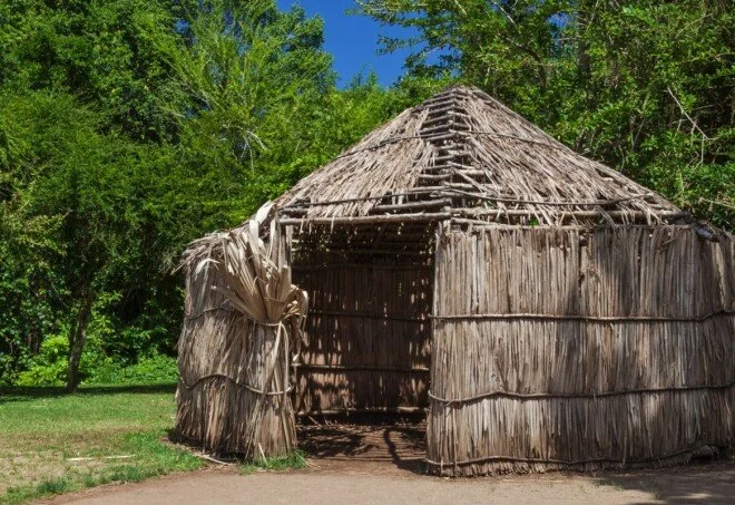 A traditional thatched hut made from dried grass or palm leaves, set in a natural environment with green trees and a clear blue sky.