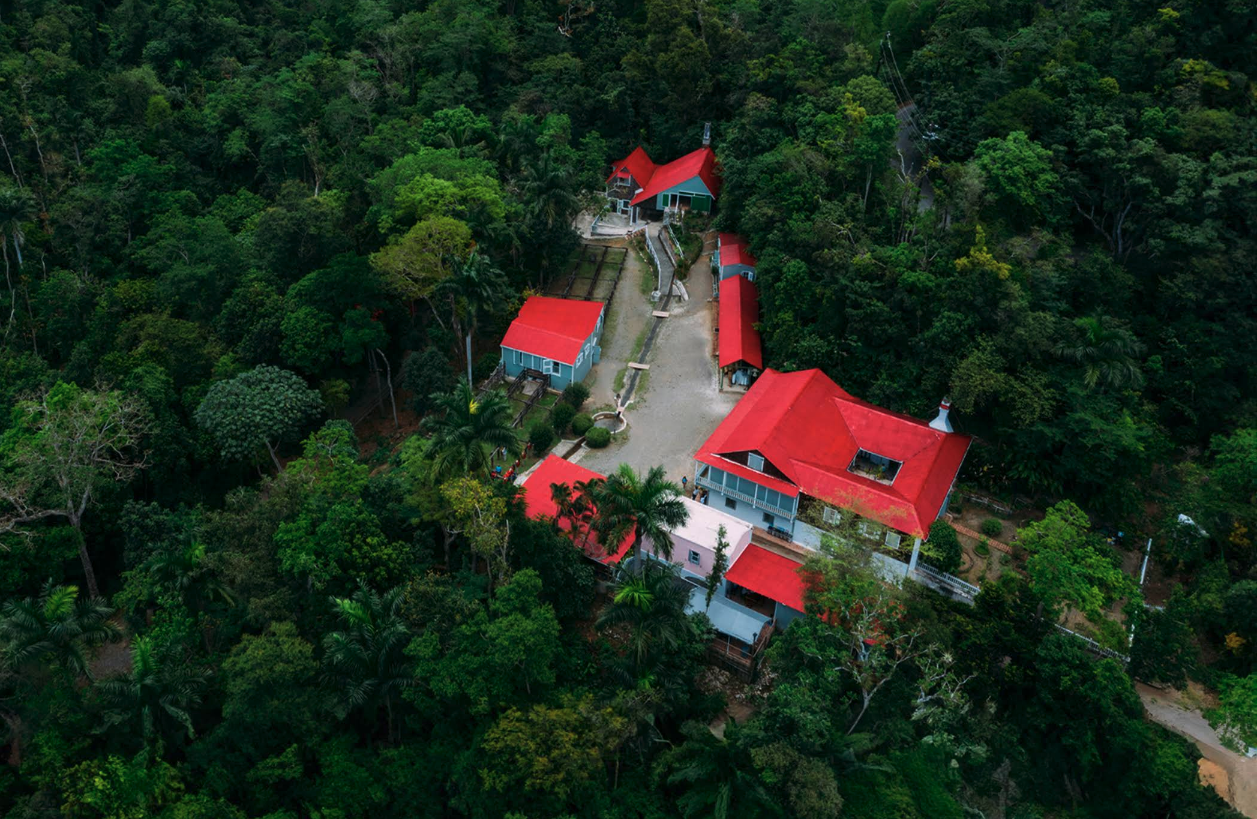 Aerial view of a property with multiple buildings with red roofs, surrounded by dense green forest.