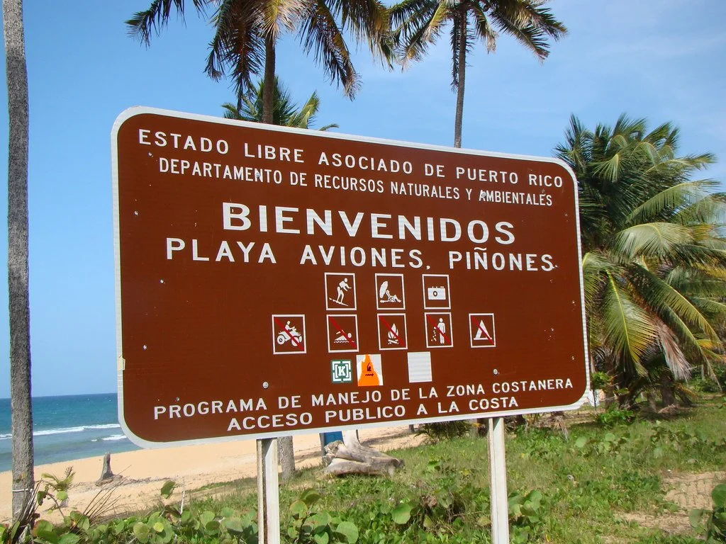 Brown informational sign at a beach in Puerto Rico, welcoming visitors and providing rules for the area, with palm trees and the ocean in the background.