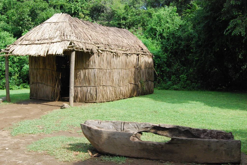 A traditional hut made of thatched grass with a curved roof, situated on a grassy area with lush green trees in the background, and a carved wooden canoe in the foreground.