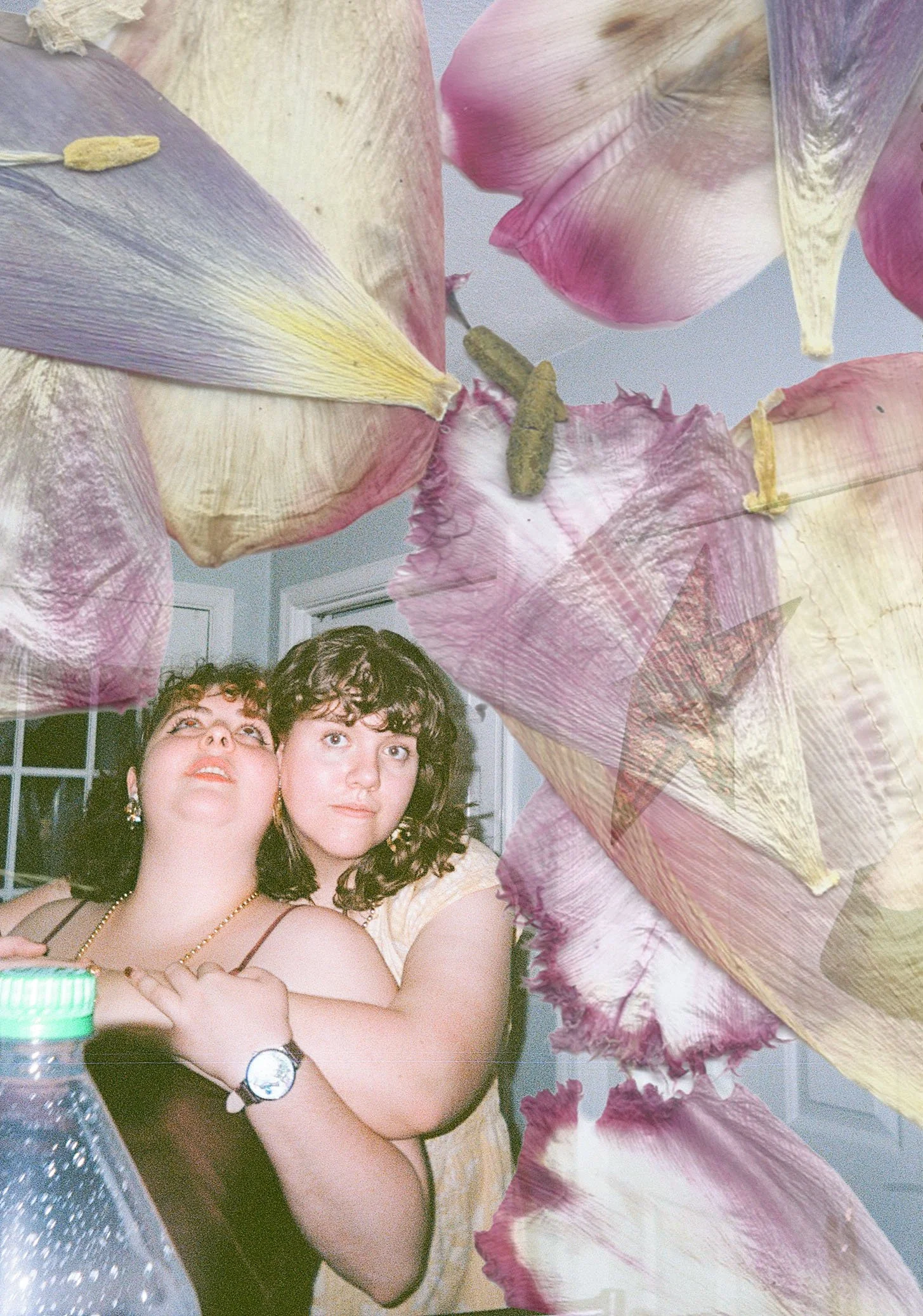 Film photos with dried flower overlay (2025-2026)