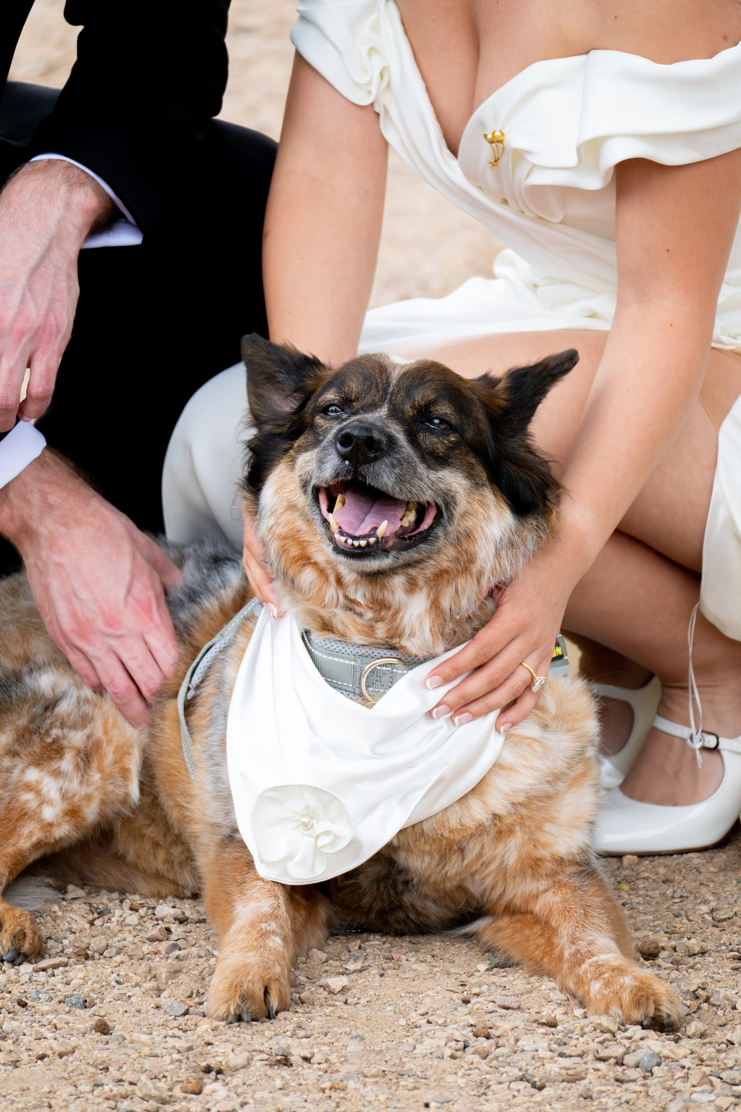 Portraits of Camila & David at their wedding (2026)