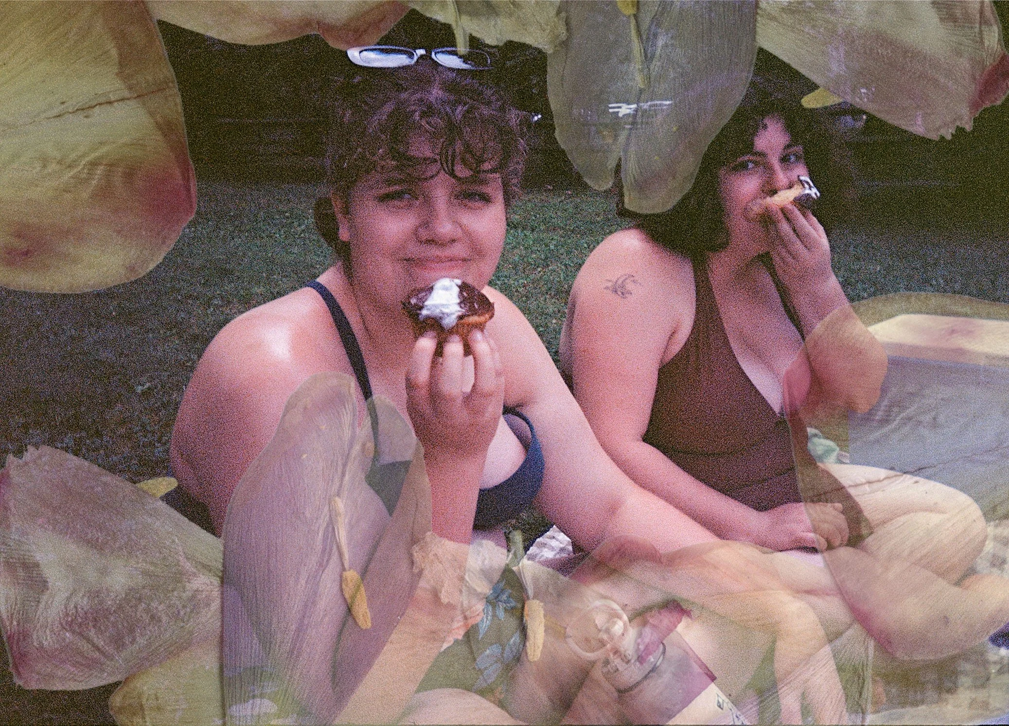 Film photos with dried flower overlay (2025-2026)