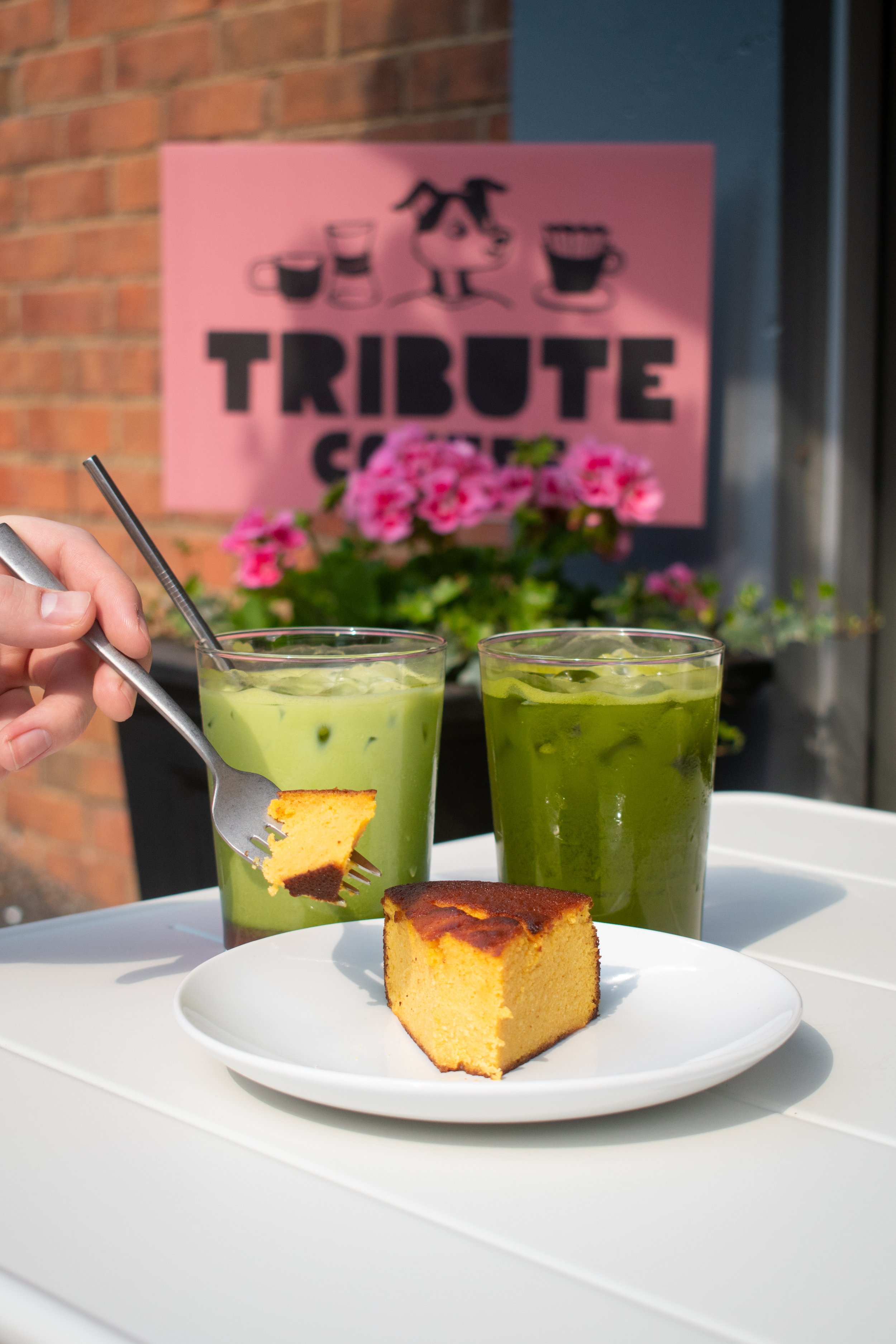 Tribute Coffee Spring drink specials (2026)