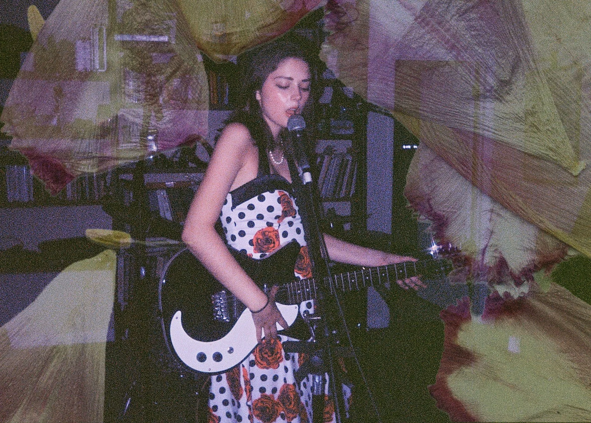 Film photos with dried flower overlay (2025-2026)