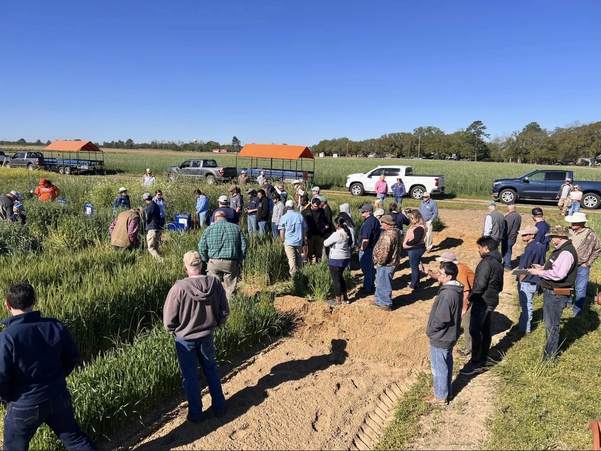 Wiregrass Cover Crop Field Day Set for March 18 in Headland