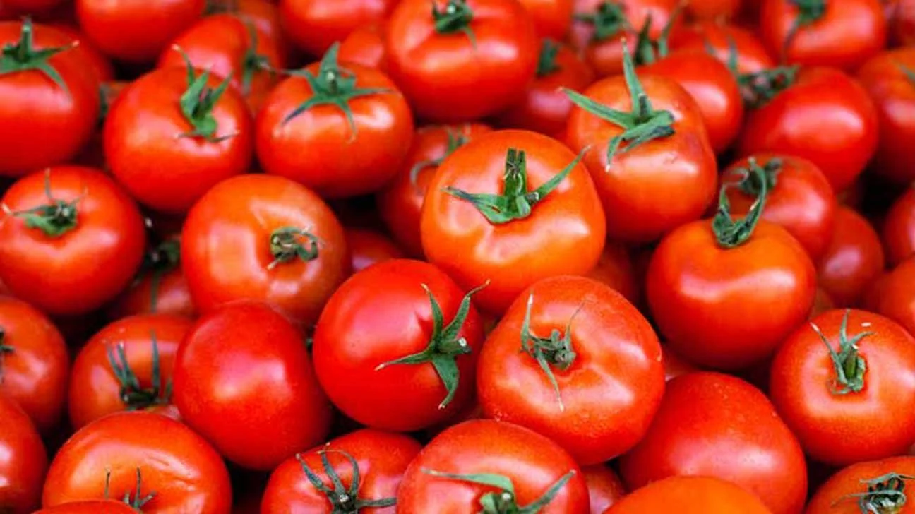 Tomato De Mayo in Eufaula