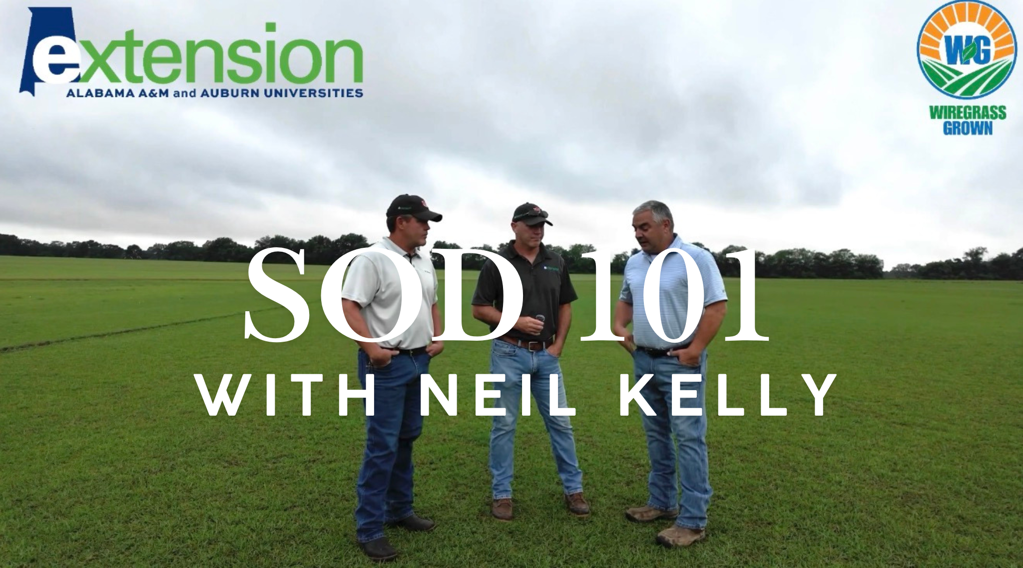 Wiregrass grown Ep. 6 - Sod 101 with Neil kelly
