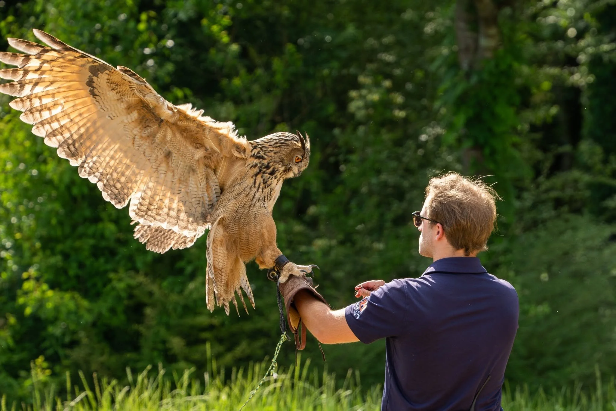 Dale County Auburn University Raptor Show Sponsored by Farmer’s Federation