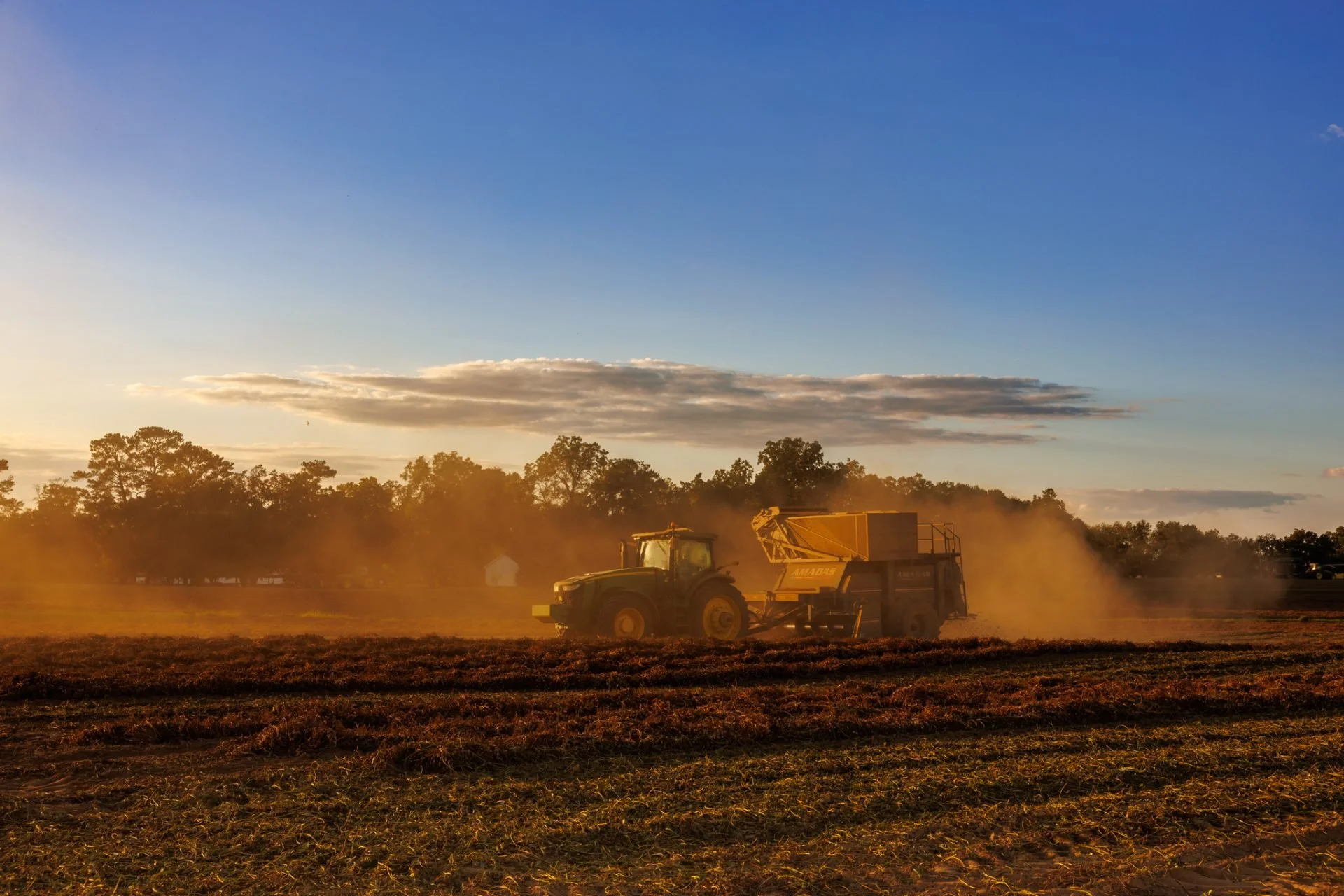 Alabama Peanut News