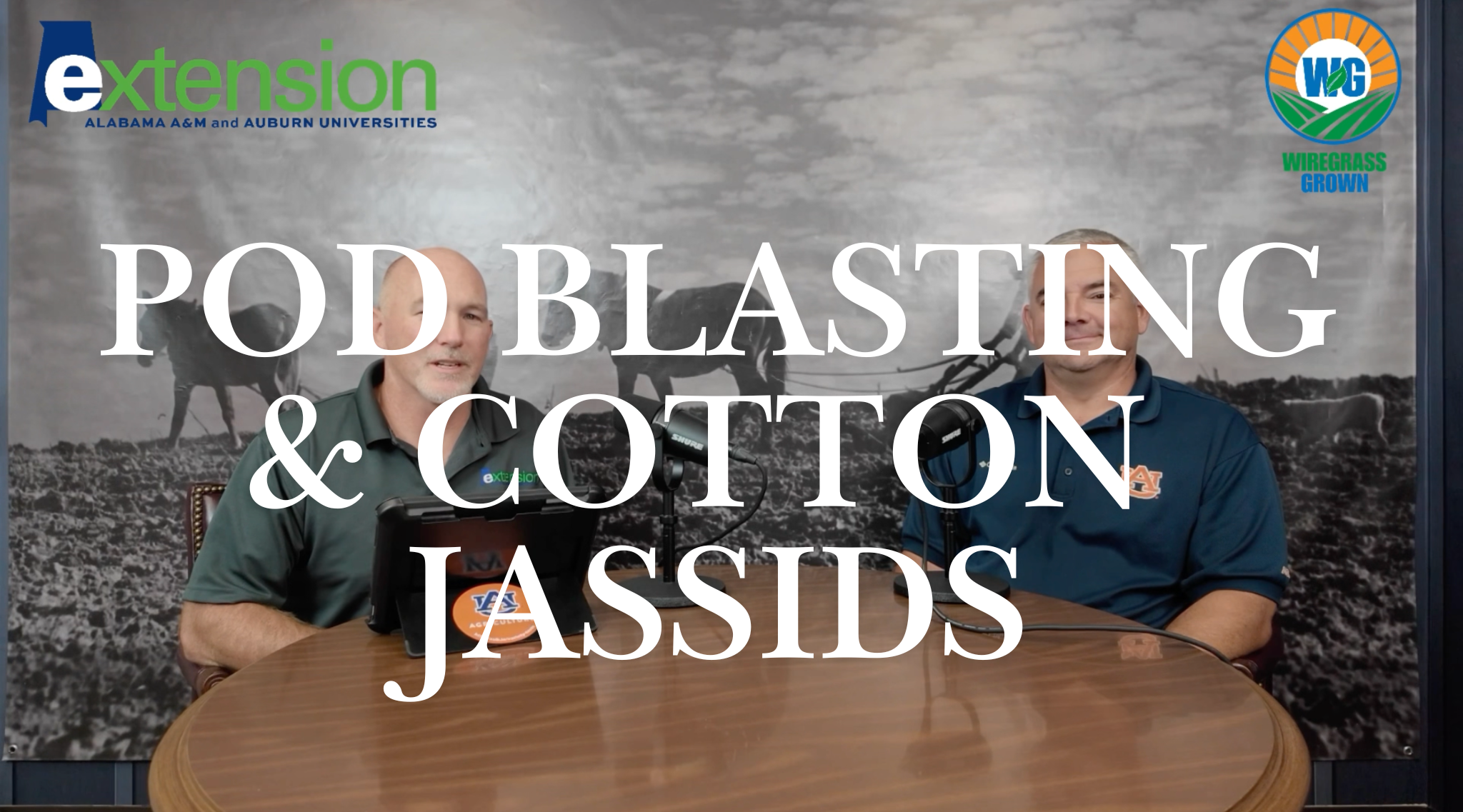 Wiregrass Grown Ep. 11 - Pod Blasting Workshops &amp; Cotton Jassids