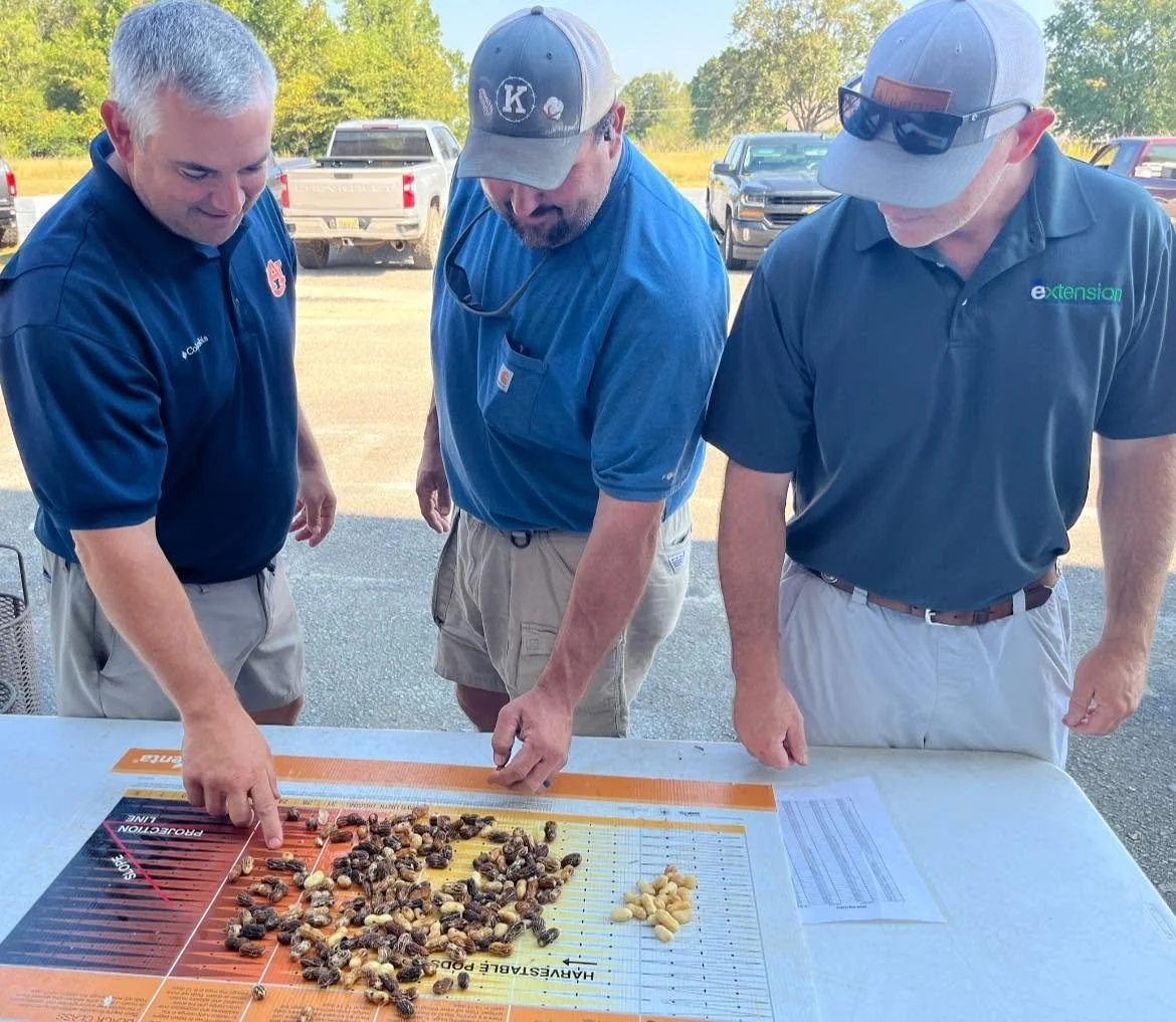 Peanut pod blasting workshops happening across the wiregrass now!