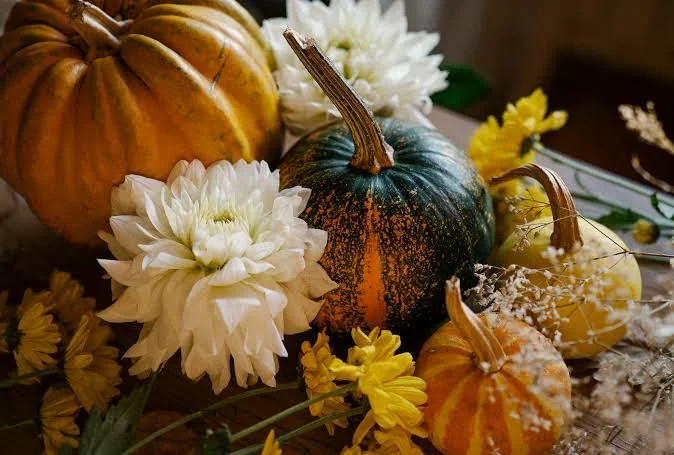 2026 Henry Fall Gardening Lunch & Learn: Pumpkin Florals