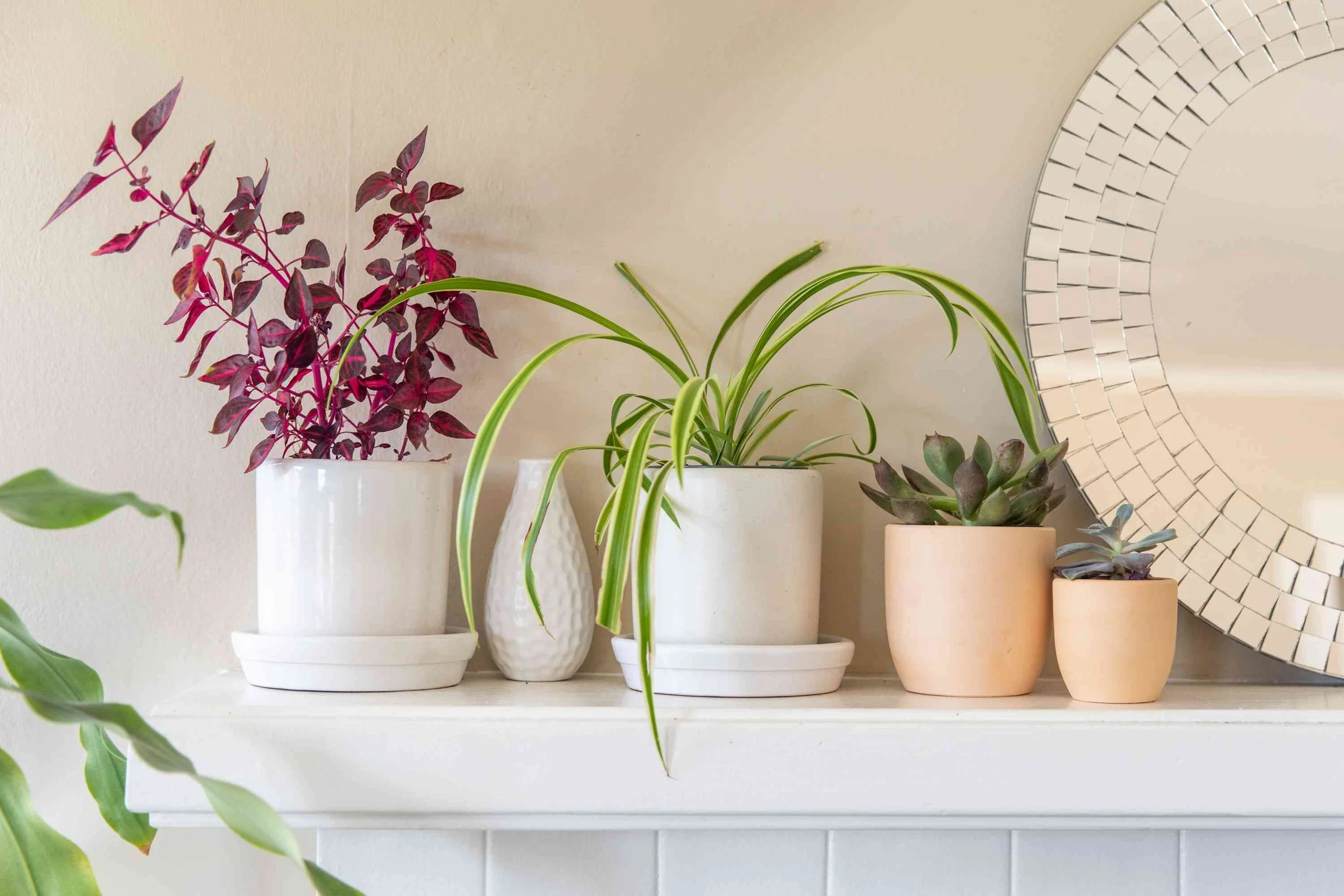 2026 Henry Fall Gardening Lunch & Learn: Natural Decor Using Plant Material