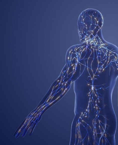 How Acupuncture Supports Lymphatic Circulation