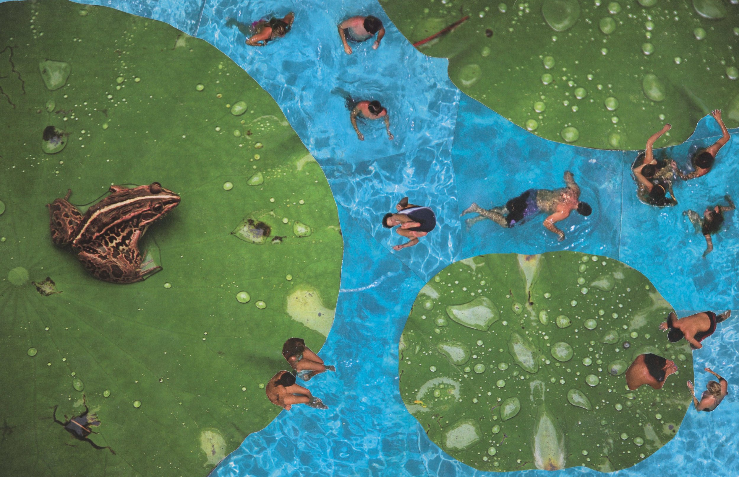 Pond Party