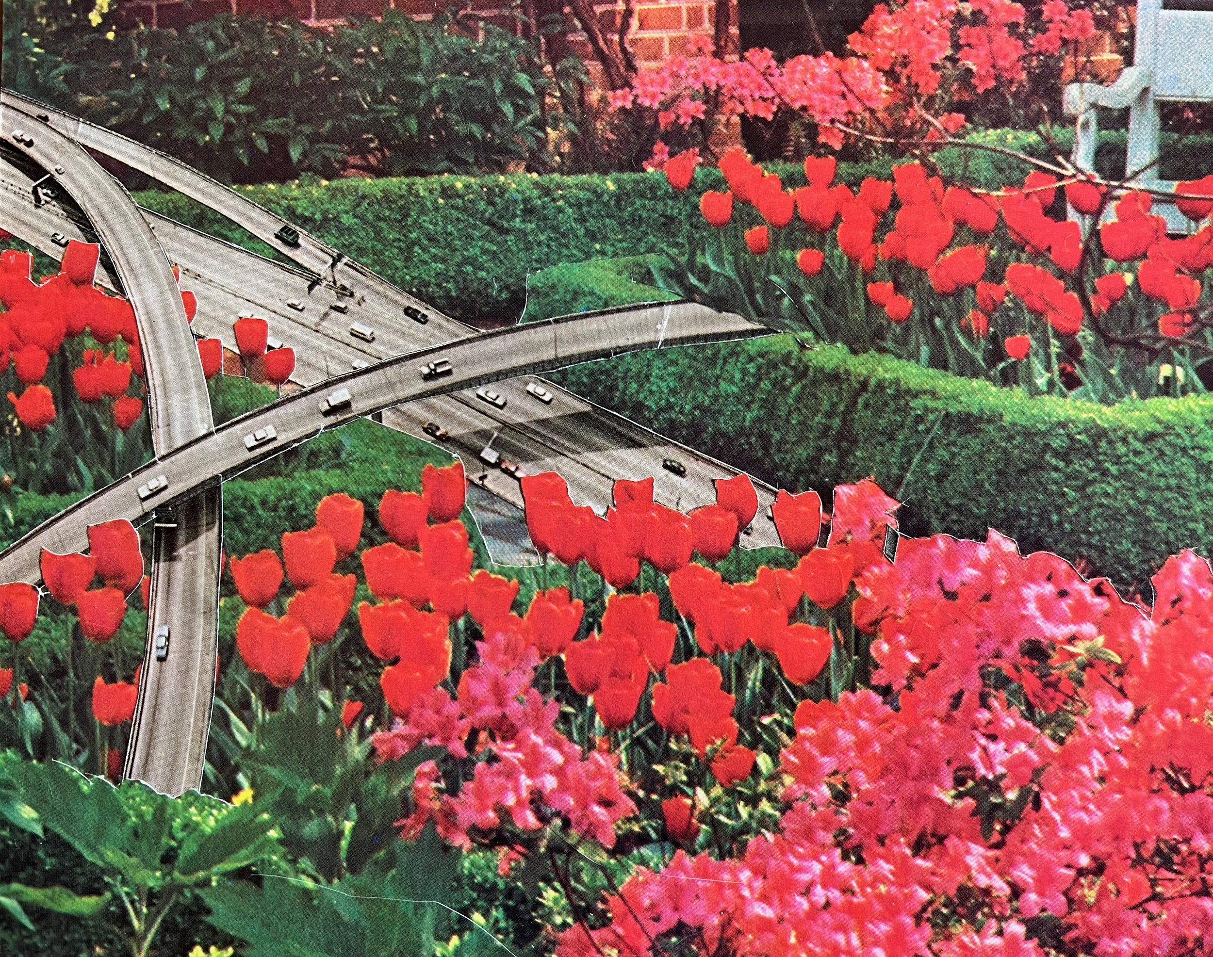 Tulip Freeway