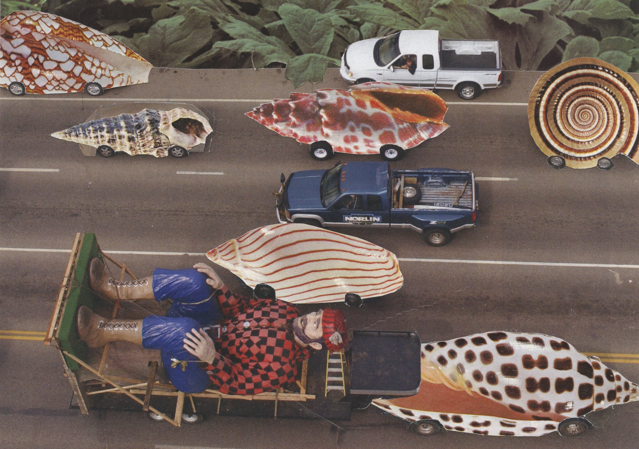 Vroom Vroom the Shell-mobiles are on the Road!