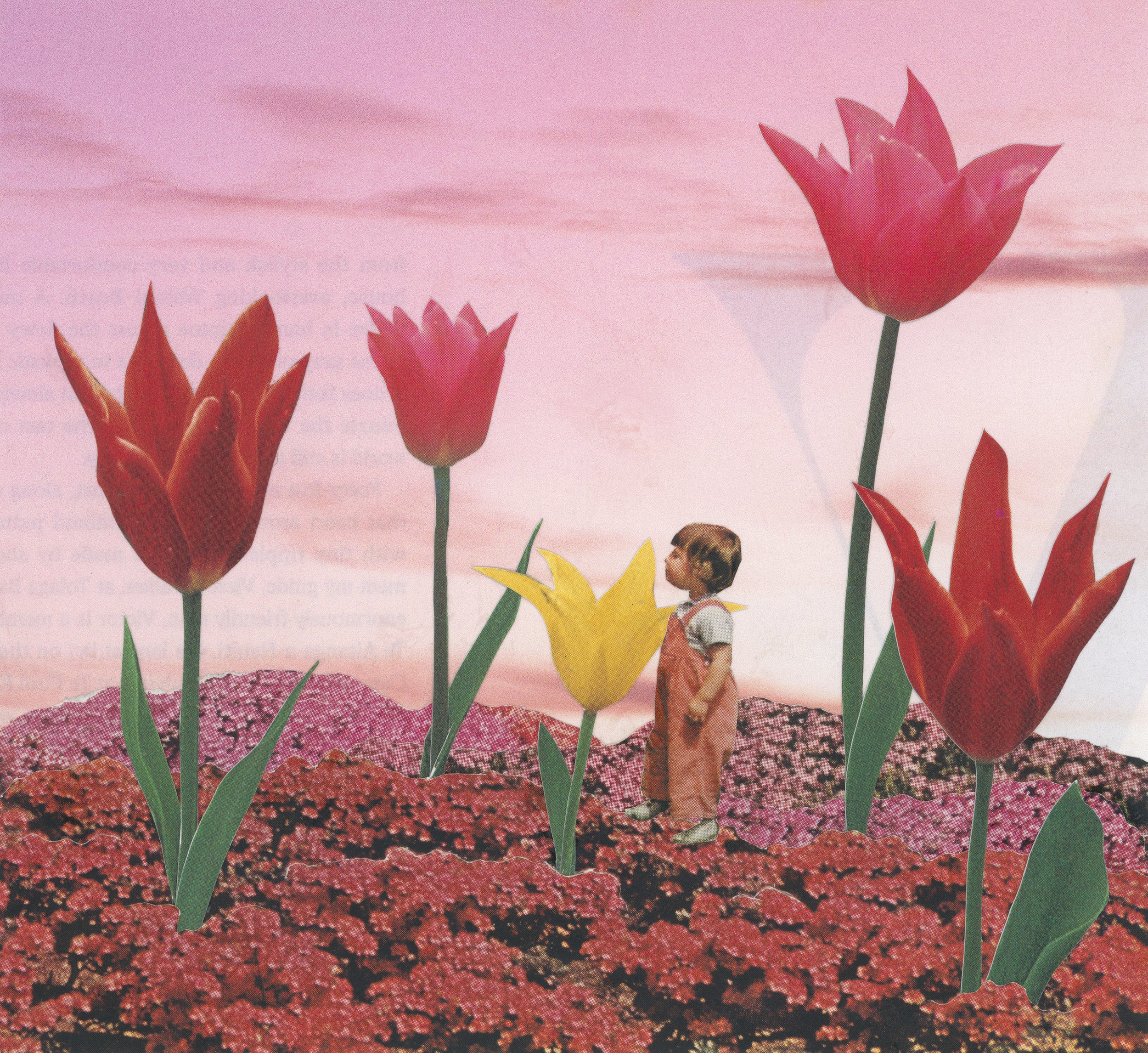 Stop and Smell the Roses