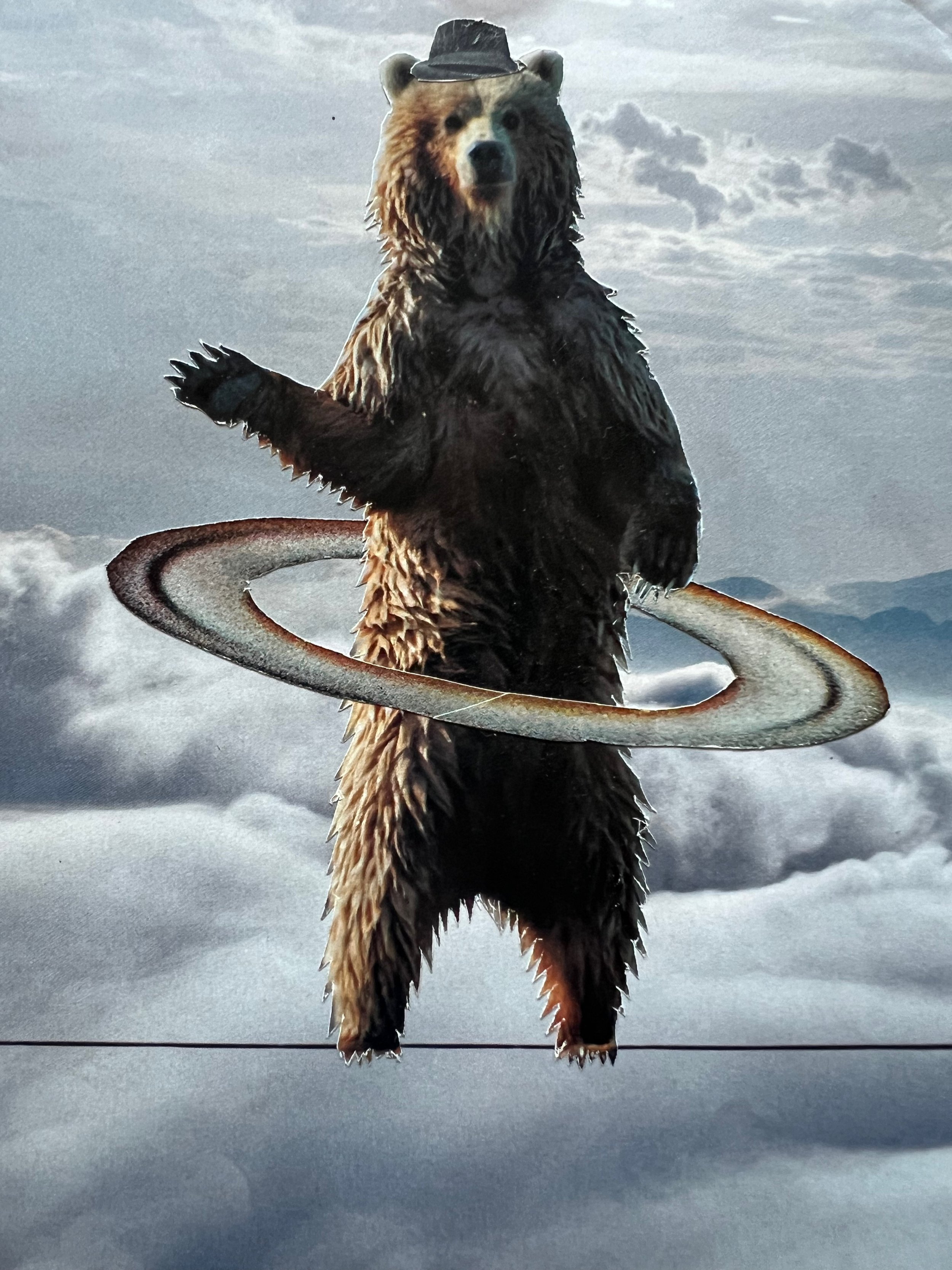 Bearly Hanging On
