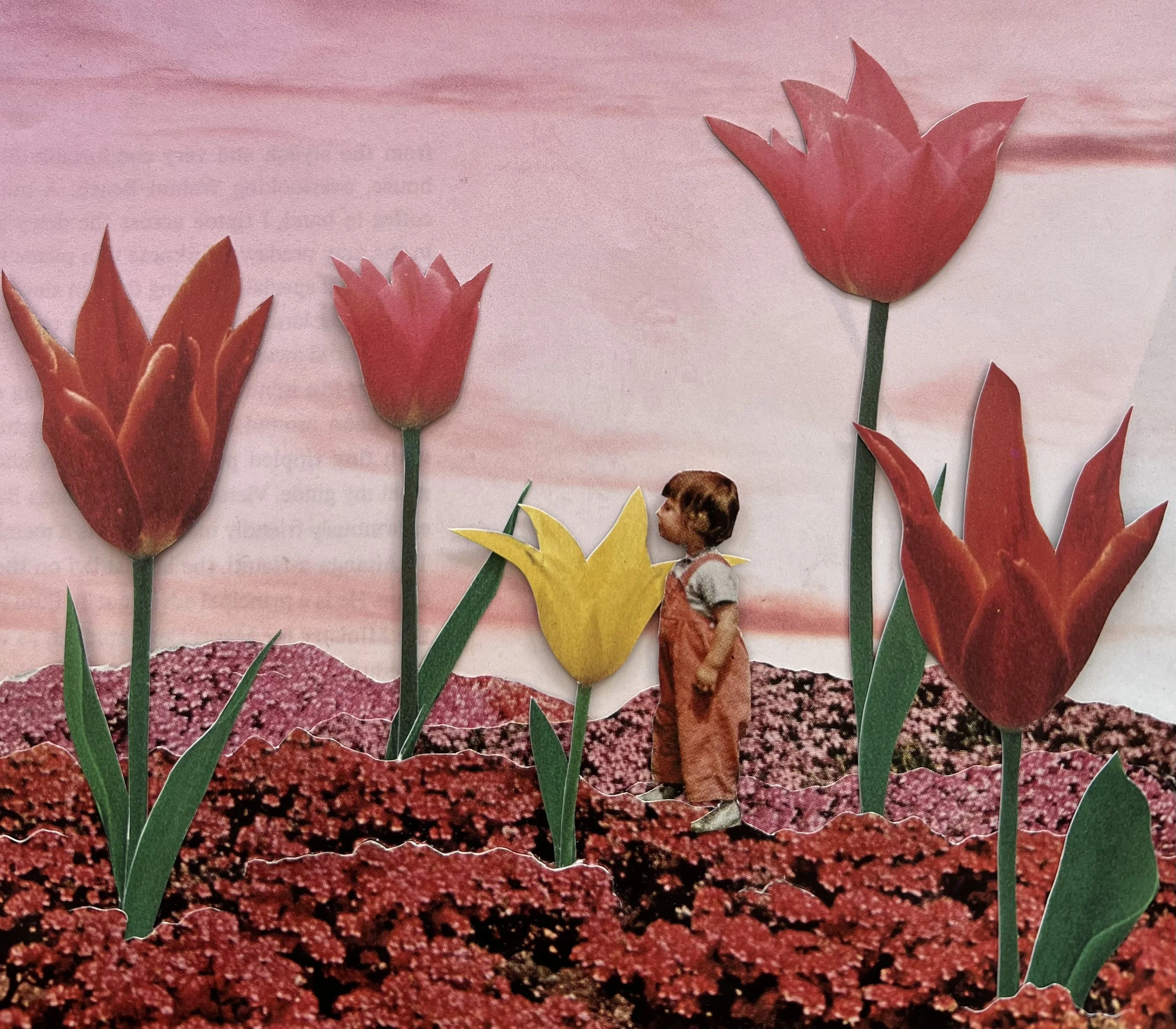 Stop and Smell the Tulips 