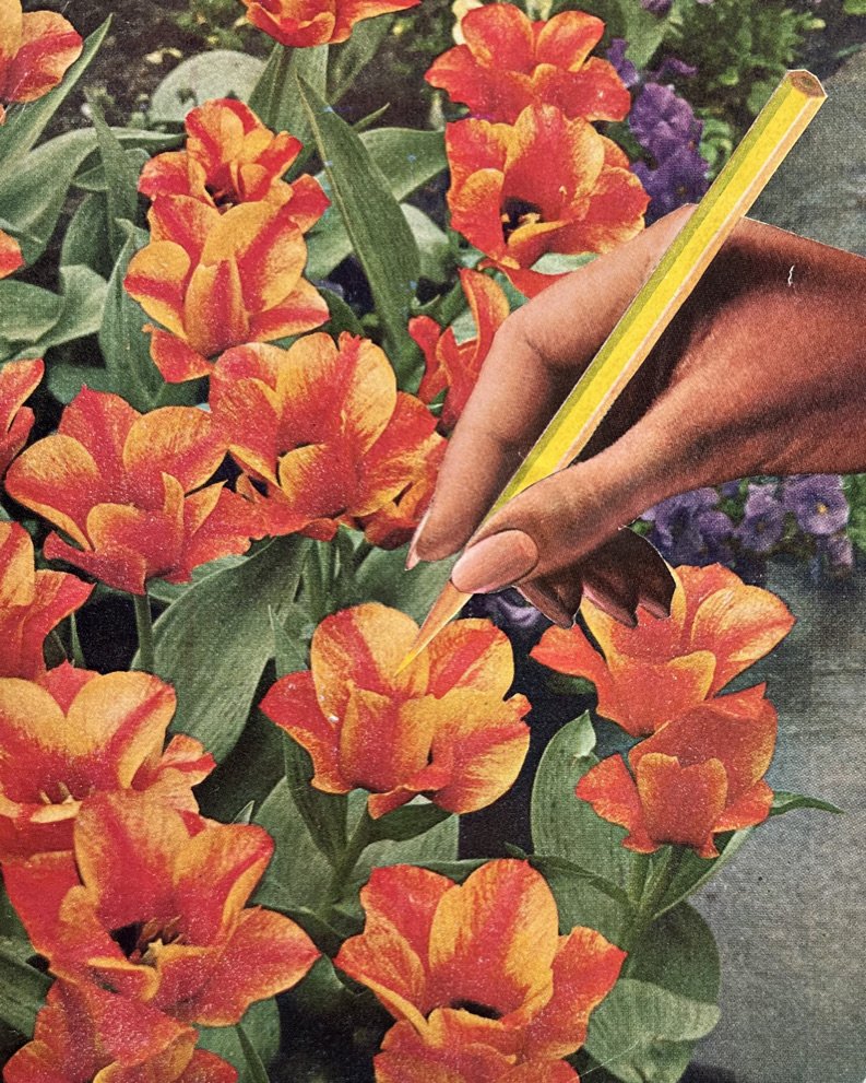 Coloring Brought to Life