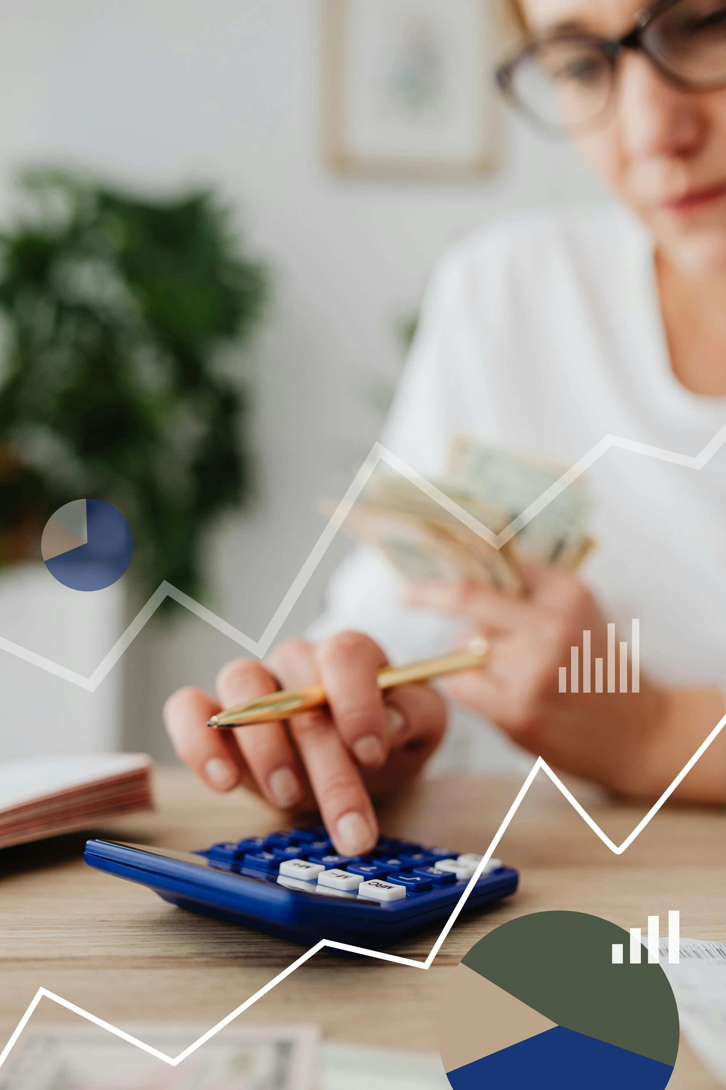 High Point helping a small business owner with budgeting and forecasting by reviewing charts and calculating.