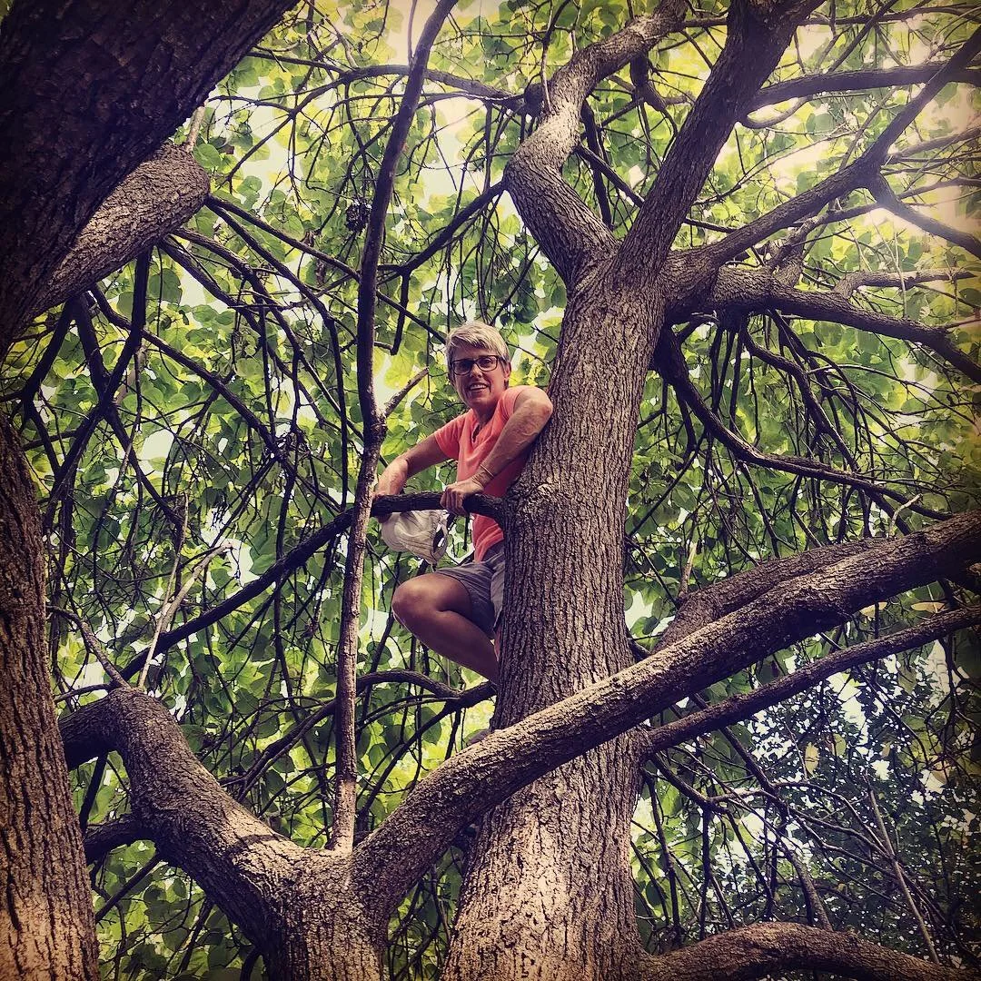 Slow Hiking for a Fast Mind (Rachel’s Version)