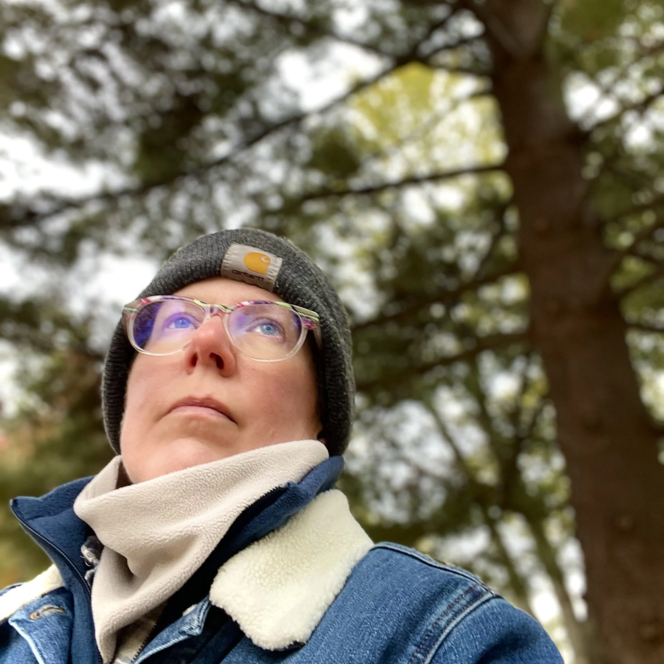 A Long Walk on a Blustery Day