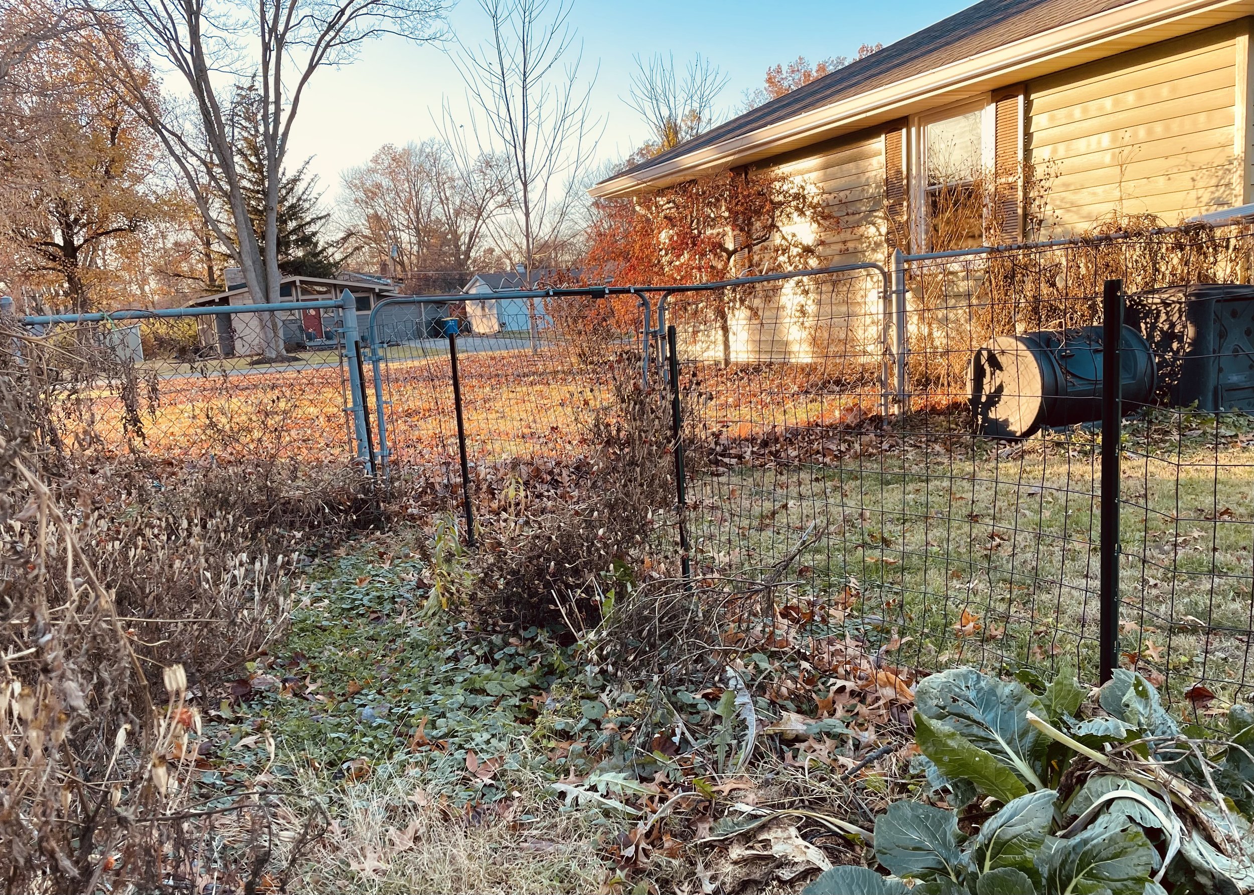 The Art of Untidying: Part 2