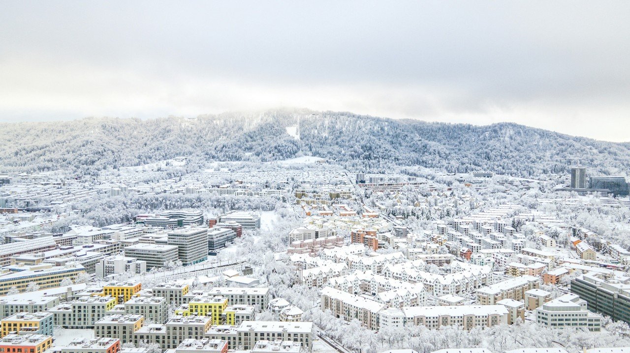 Sustainability 2025: the year the system talked back