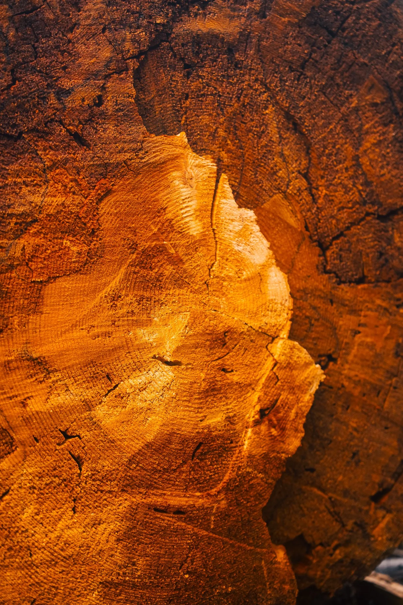 _DSC2603.jpg