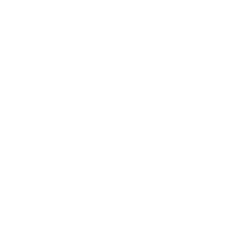 Black and white icon of Earth with continents visible.