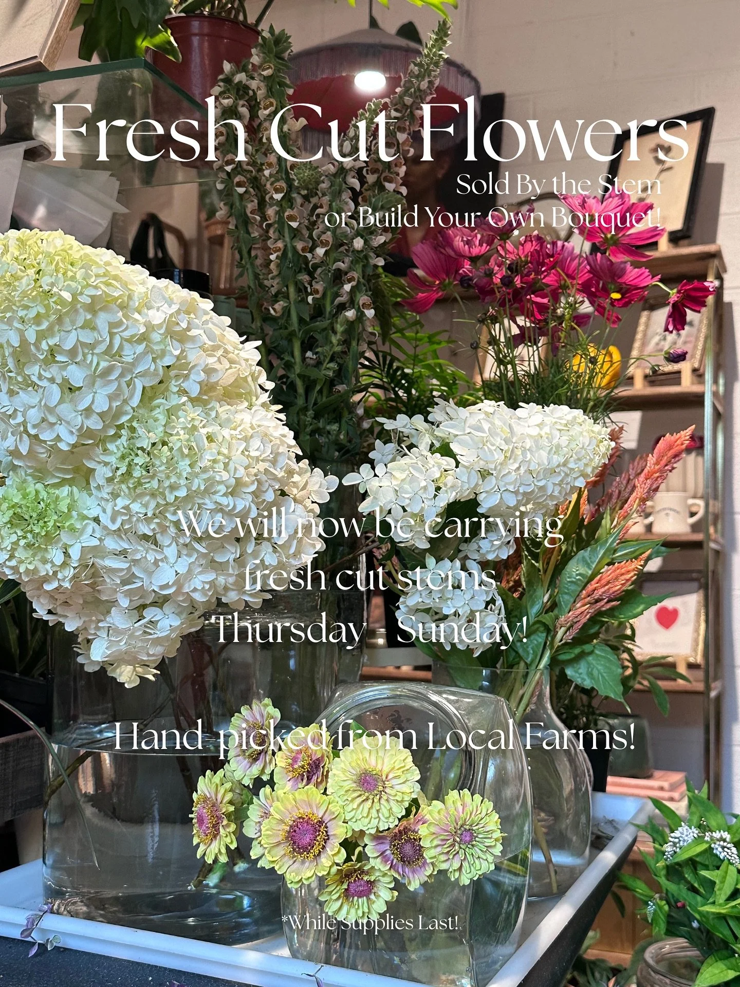 Starting tonight at our @florapopupbar we will now be offering Fresh Cut Flower stems Thursday - Sunday!💐

*While Supplies Last!