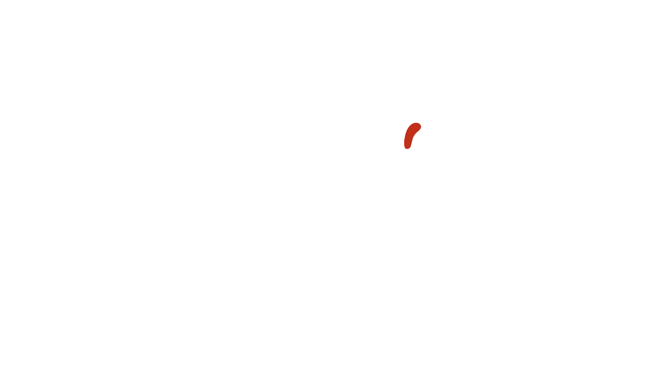 handwritten wordmark with eyebrow arch and red dash over i