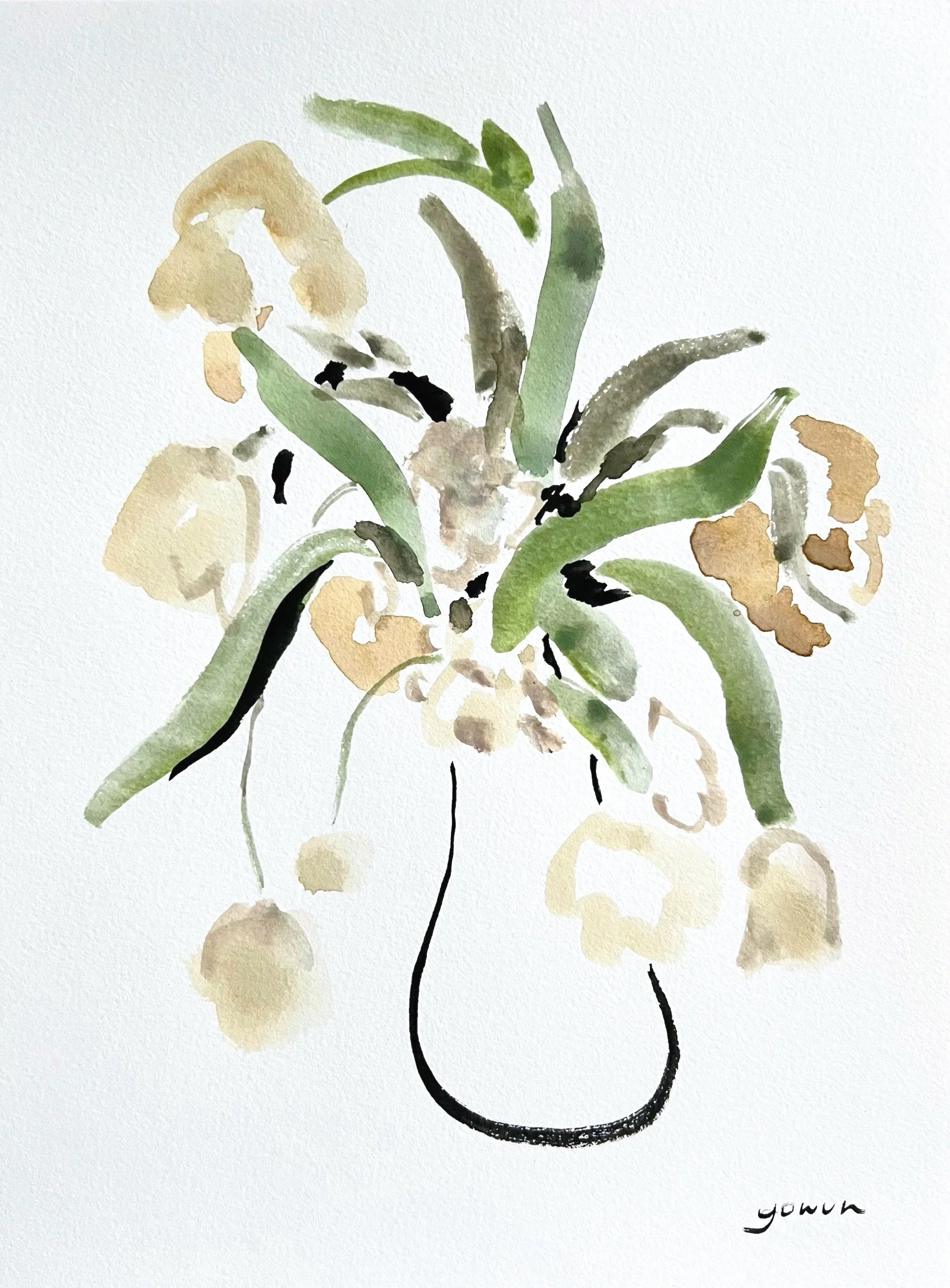"Drooping Yellows"
