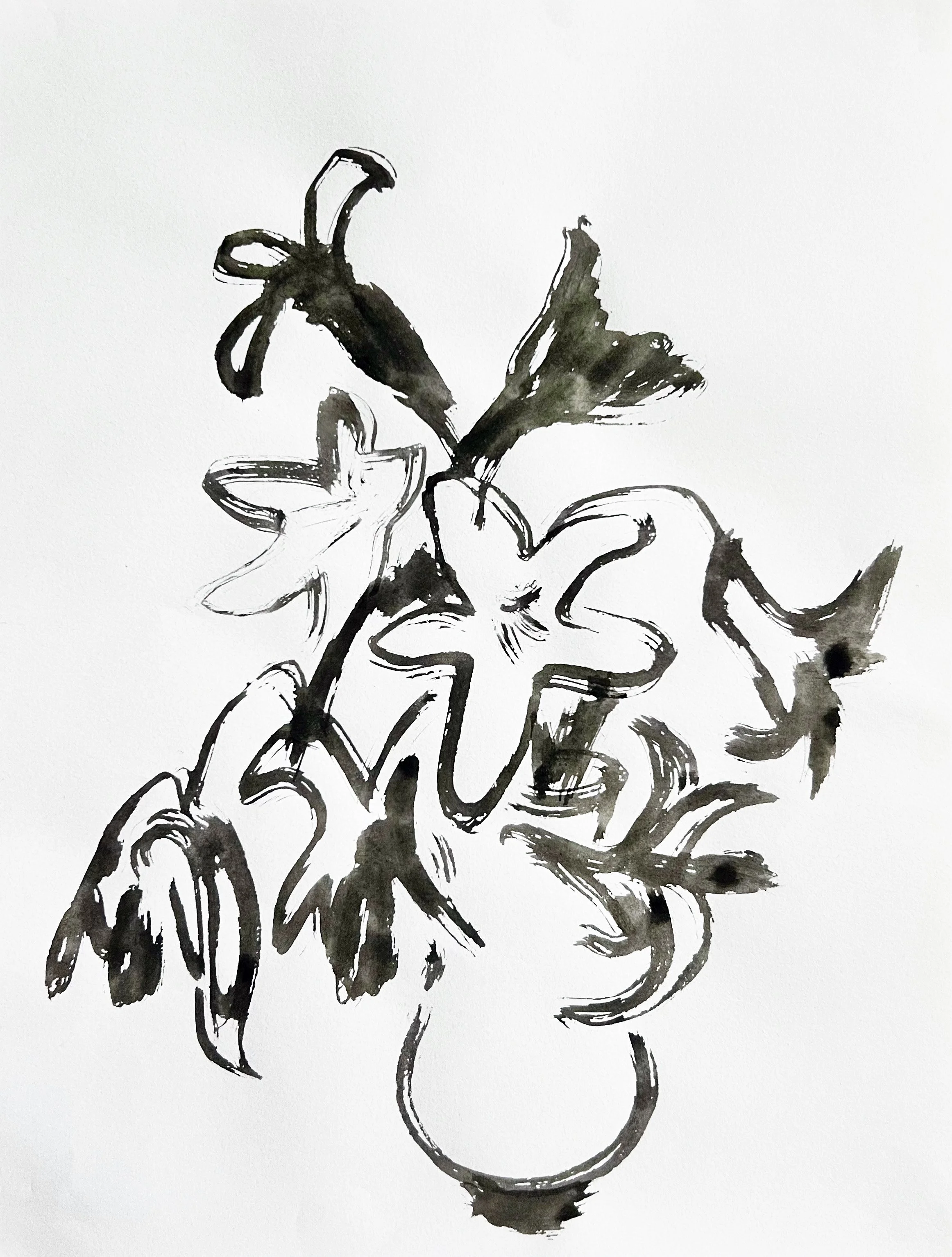 "Lily Drawing"