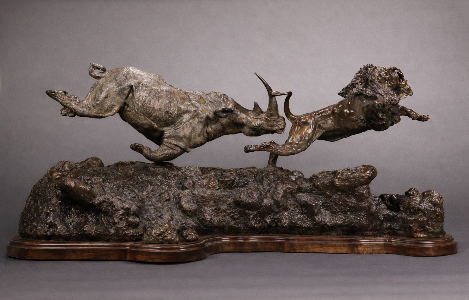 Rahul Vyas-Rhino & Lion.png