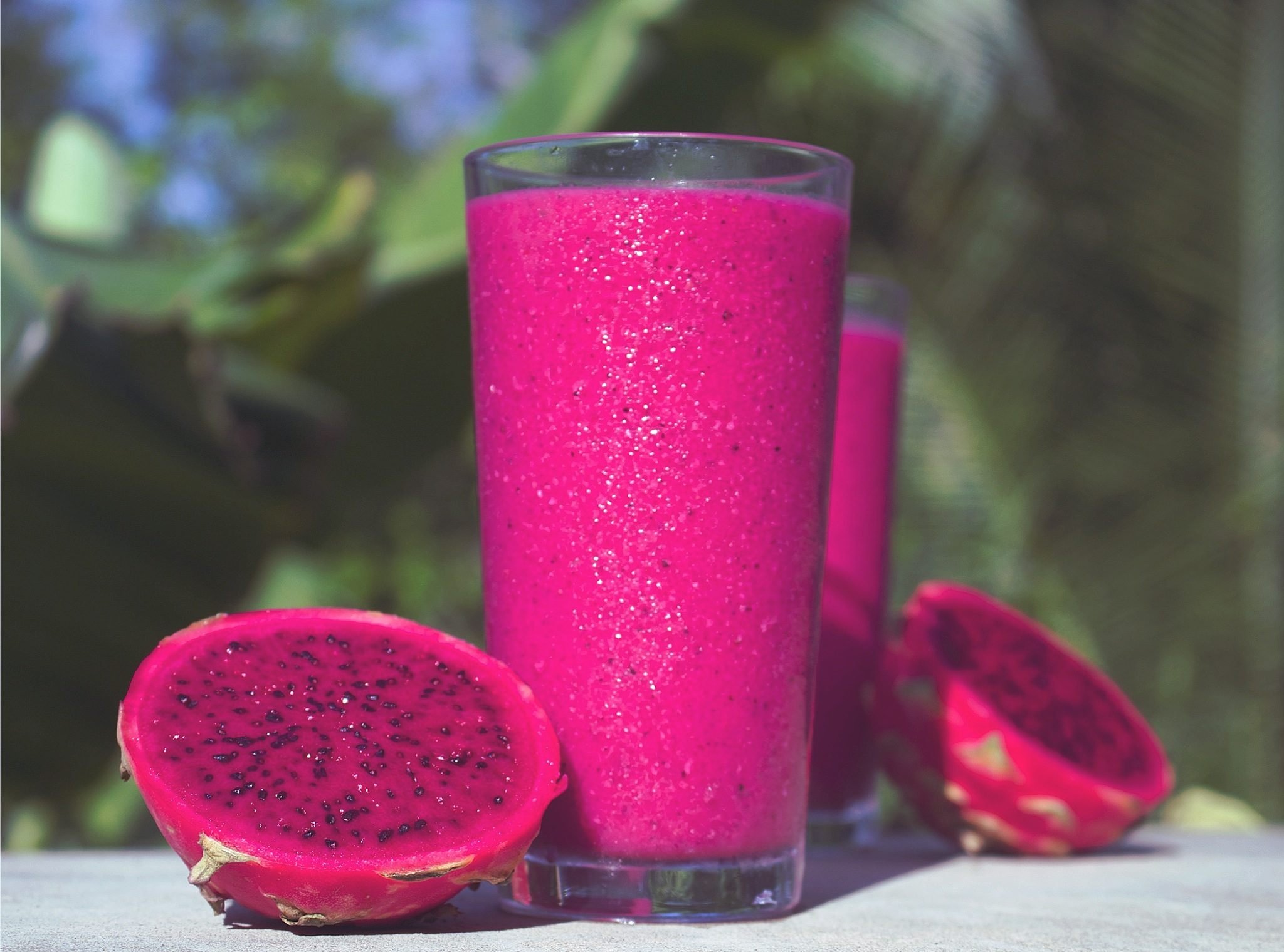 pitaya_smoothie_naturalist_in_nicaragua.jpg