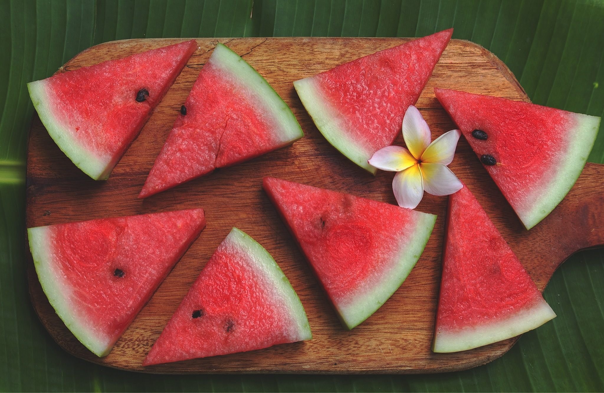 watermelon_naturalist_in_nicaragua.jpg