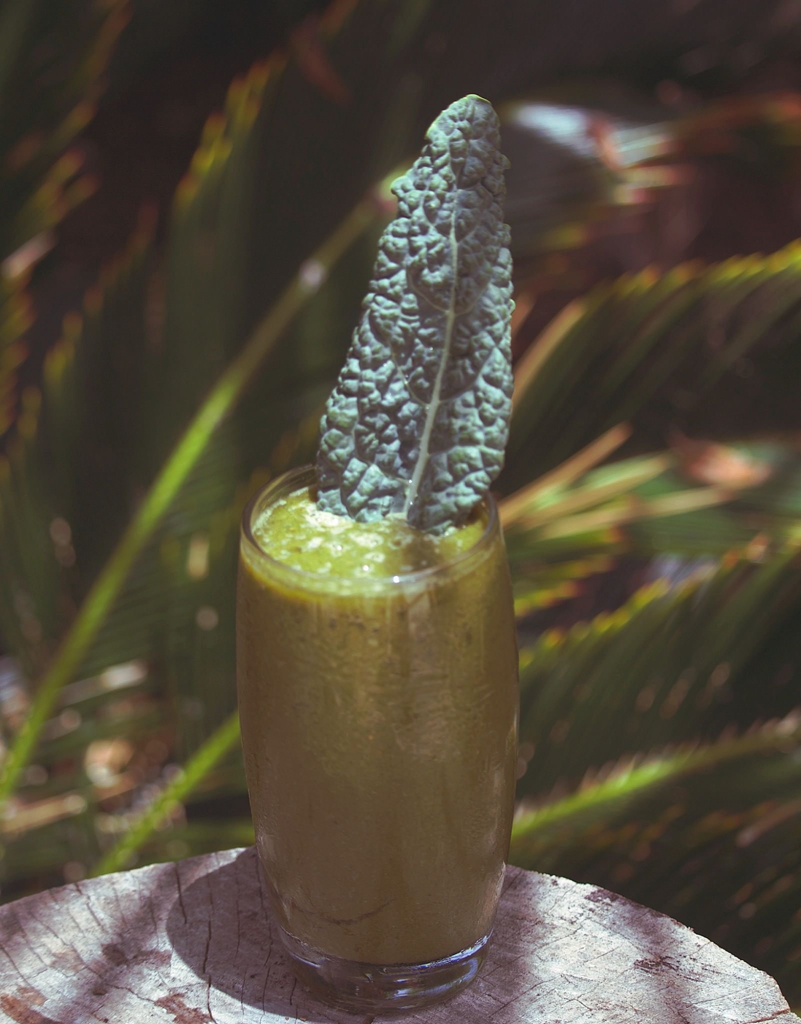 jungle_green_smoothie_naturalist_in_nicaragua.jpg