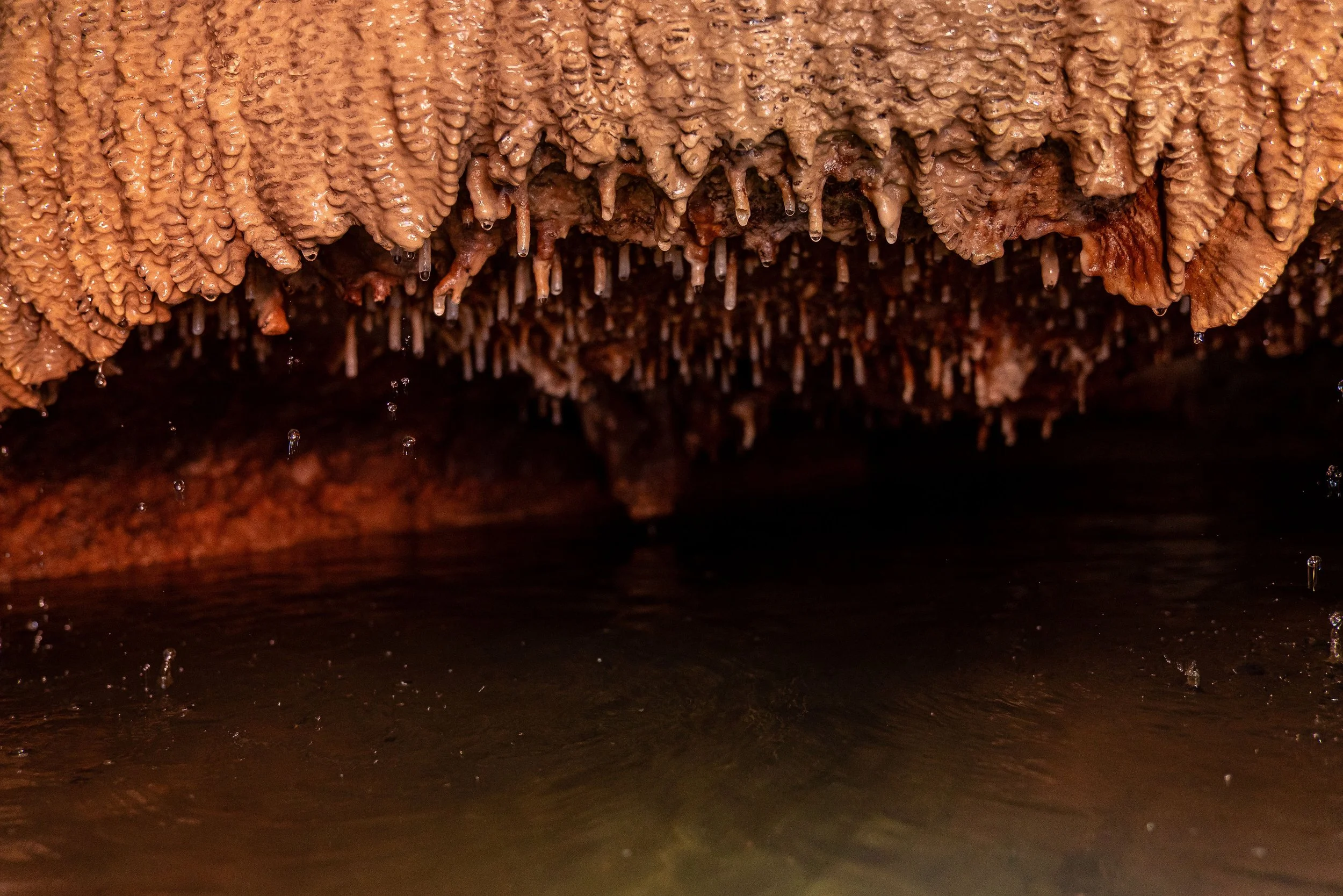 15 _DSC2009.jpg
