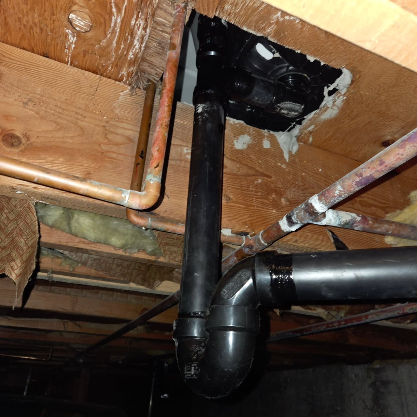 ❗️Got a leak?💧

Let Radtech Services take care of you and your home! This holiday season we are offering 20% off all plumbing services! Like more details? Visit our website today! 

🌐 https://www.radtechservices.com/

Booking is easy! Were just a c