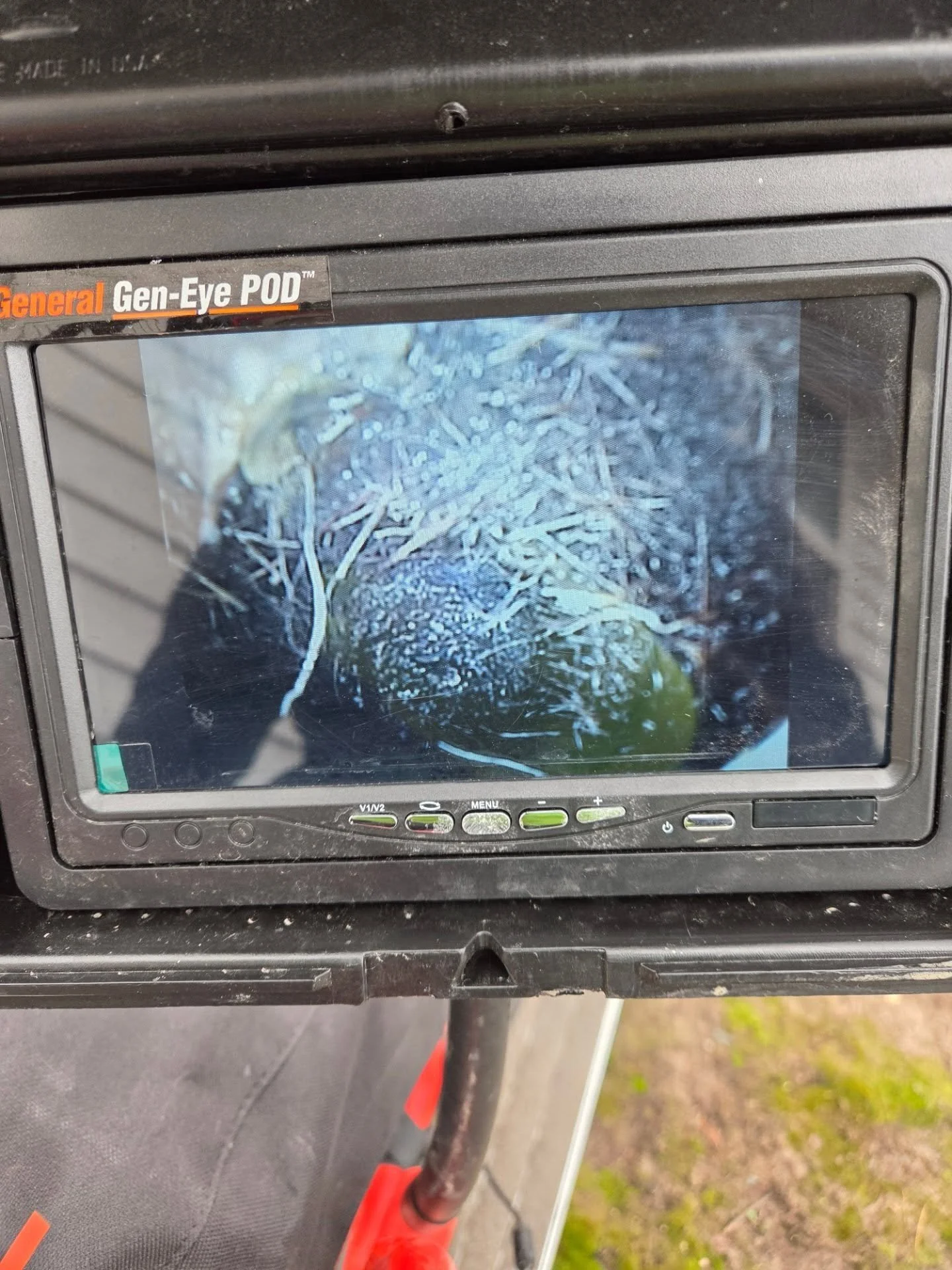 🌳🚽 Roots in your septic system can cause big problems! Tree roots seek moisture and can invade pipes, leading to clogs, backups, and costly repairs.

✅ Prevent it by:
&bull; Keeping trees away from septic areas
&bull; Scheduling regular inspections