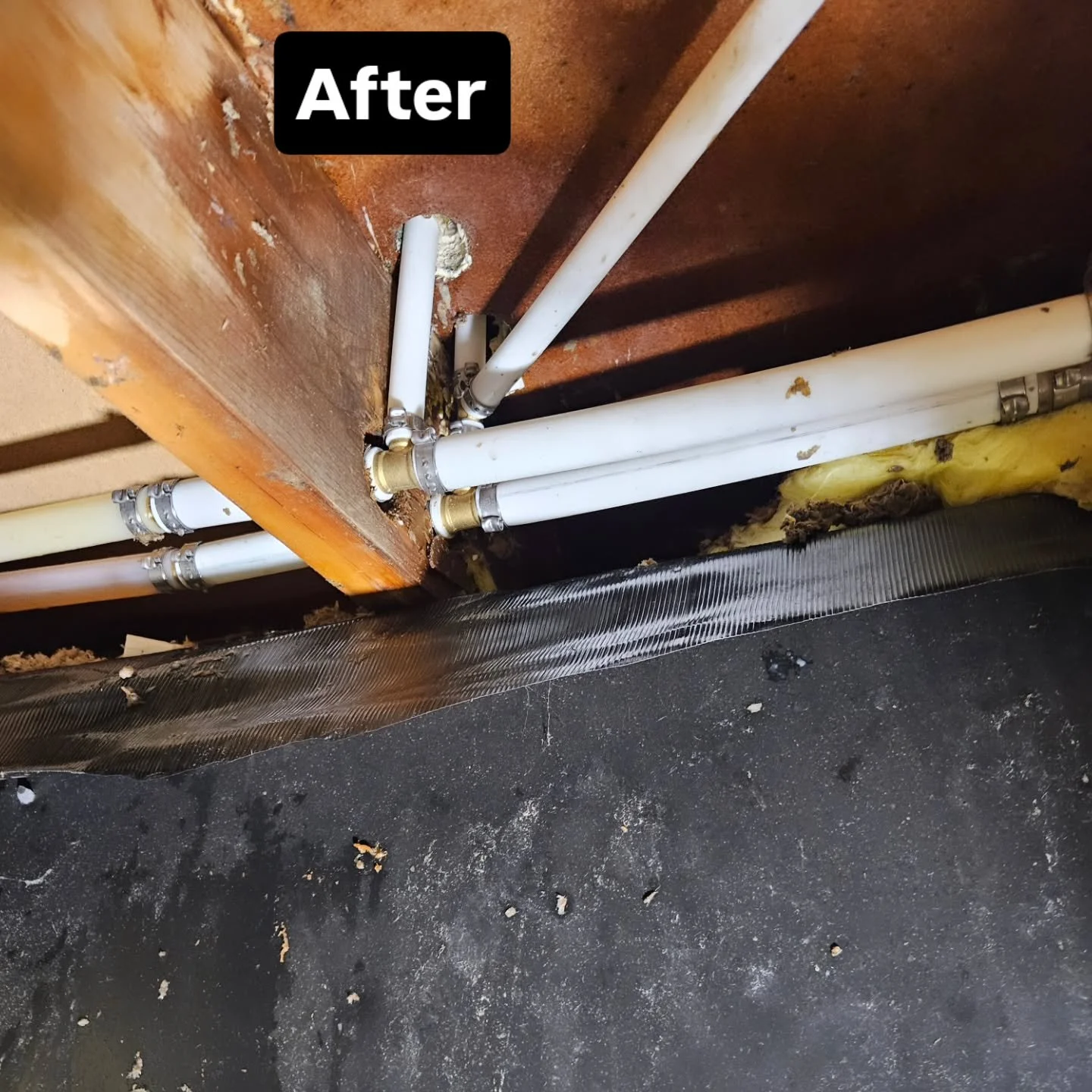 Ever wondered what's lurking beneath your home? Take a peek at this crawl space during an emergency leak repair! A stark reminder to regularly inspect and prevent costly fixes!

#leakdetection #leakrepairs #plumbingserviceandrepair #plumbinglife #rad
