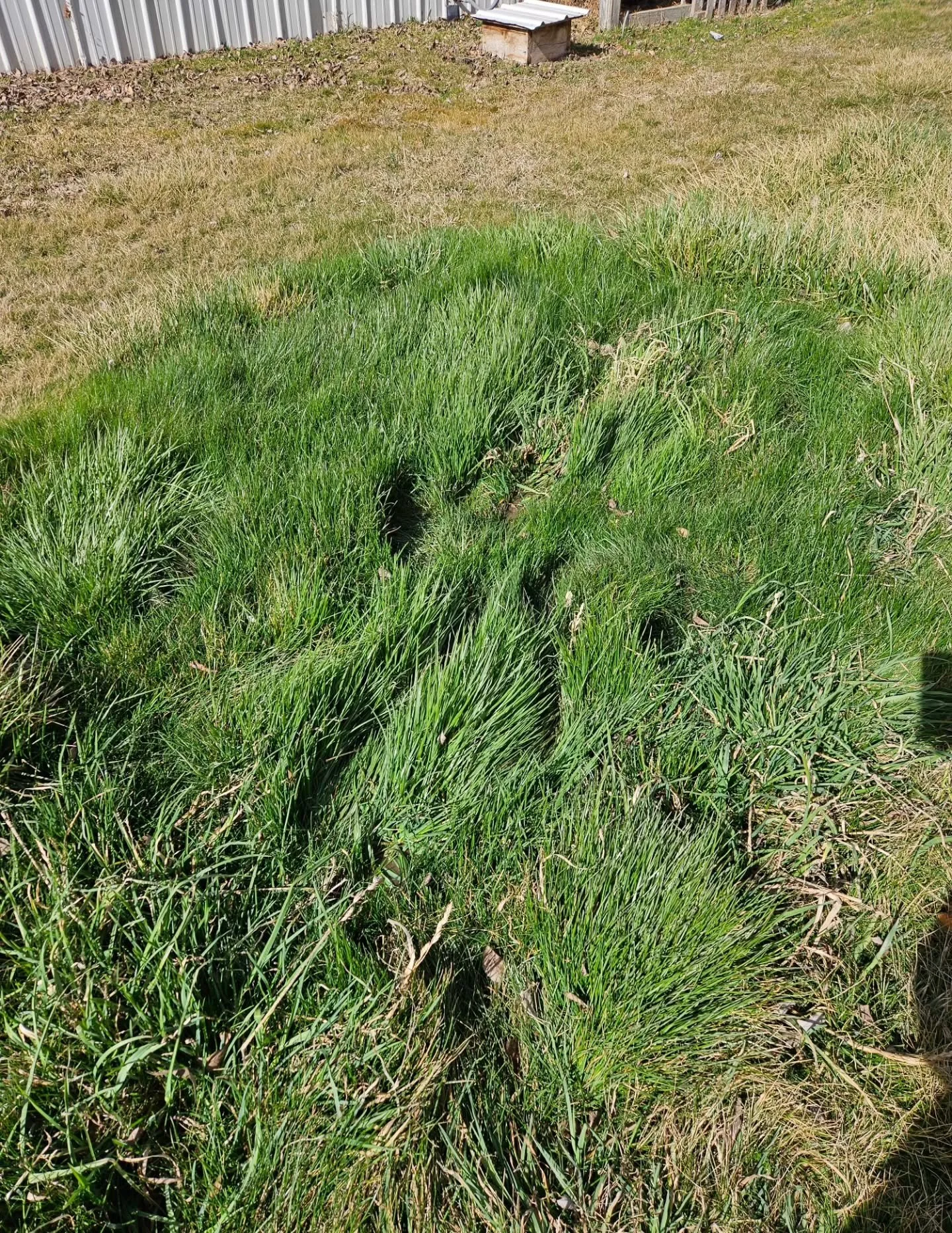 Main water line leaks can go undetected for quite some time, potentially causing costly damage if not caught early.

Pro tip: Keep an eye on your water meter if it&rsquo;s constantly moving when no water is being used, there&rsquo;s a good chance you