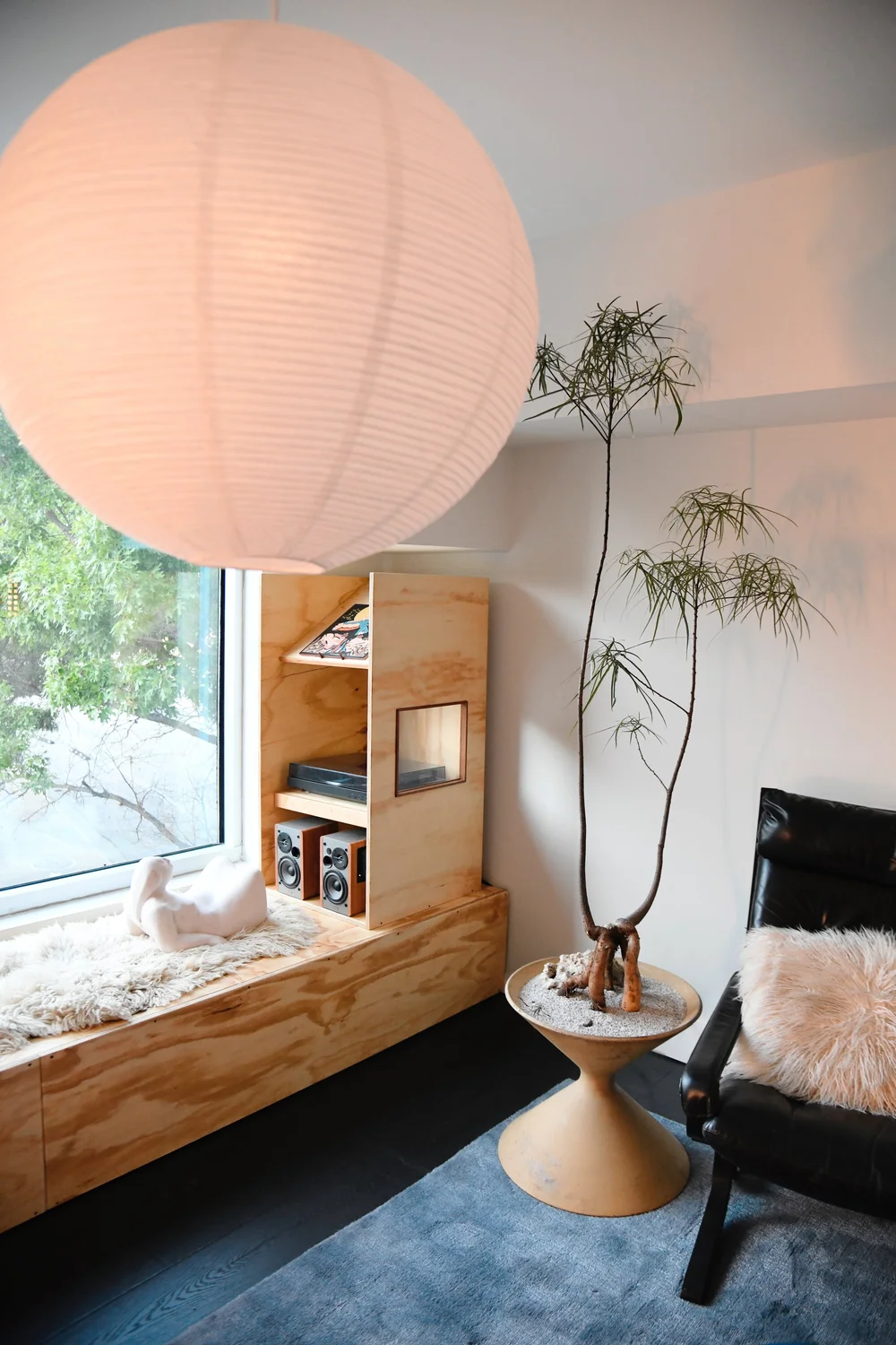 A dracaena on an exposed root crown in an hourglass planter, under a paper lantern