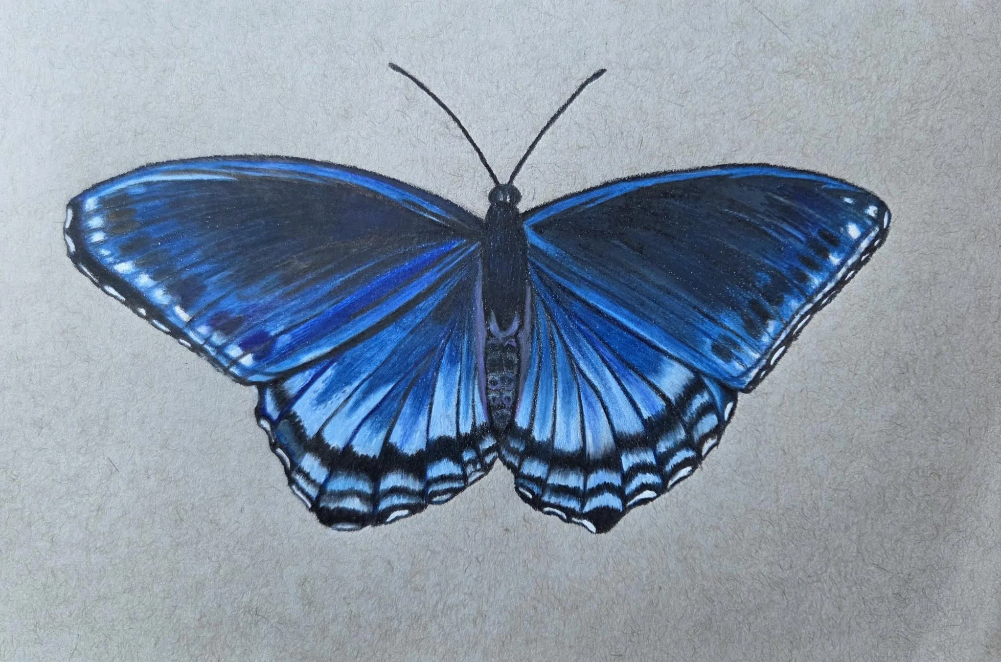 Pencil Art