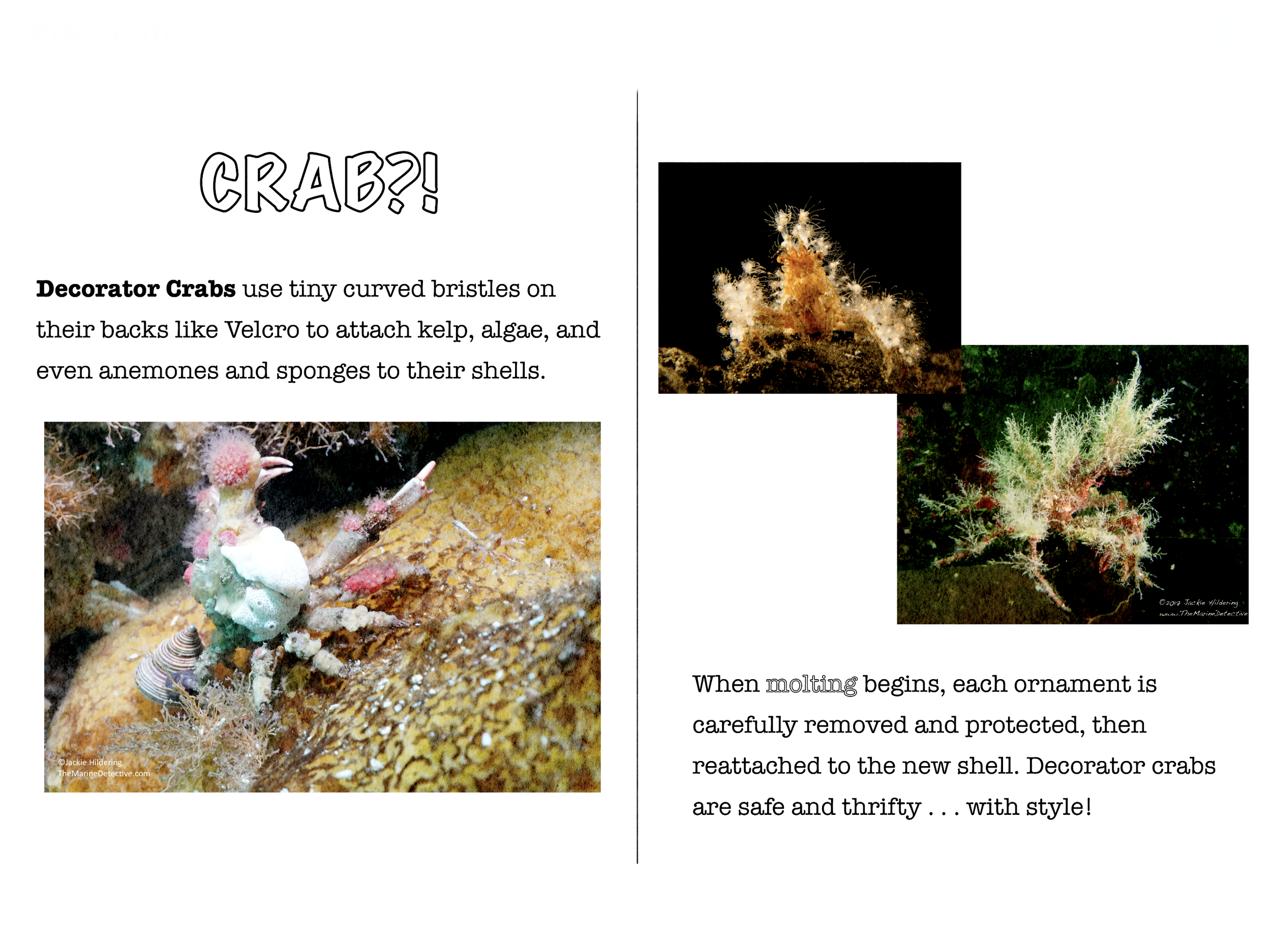 IMG_0187.png