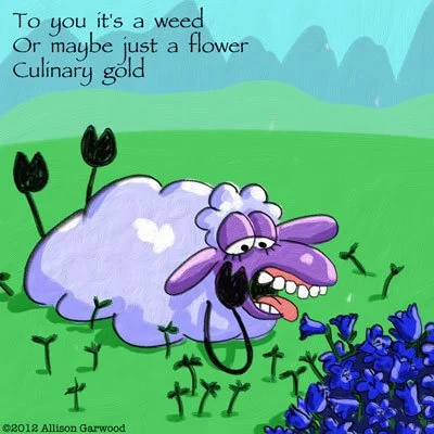 Haiku Ewe comic by Allison Garwood